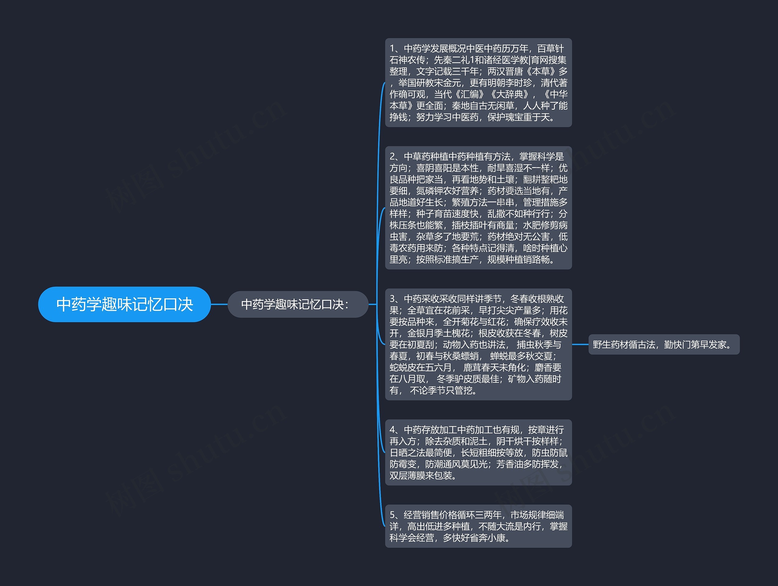 中药学趣味记忆口决思维导图