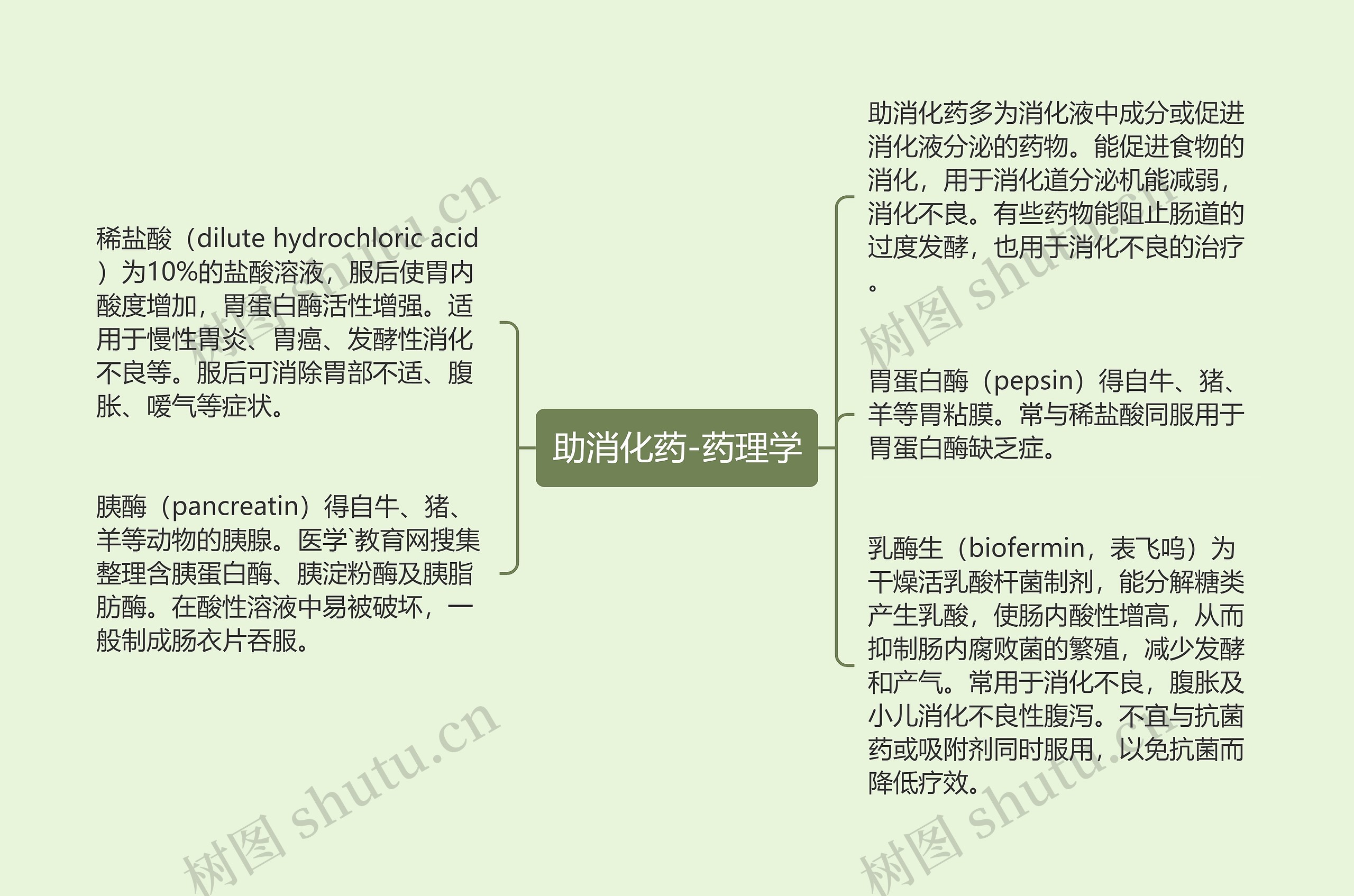 助消化药-药理学 助消化药-药理学