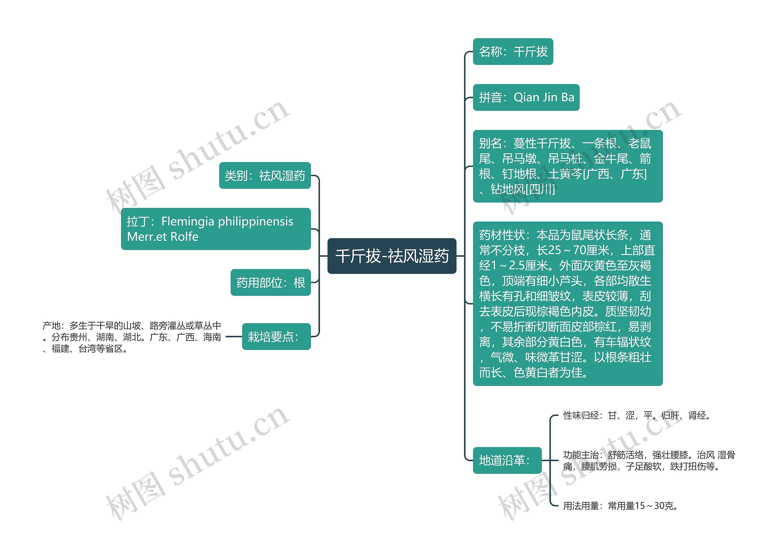千斤拔-祛风湿药 千斤拔-祛风湿药