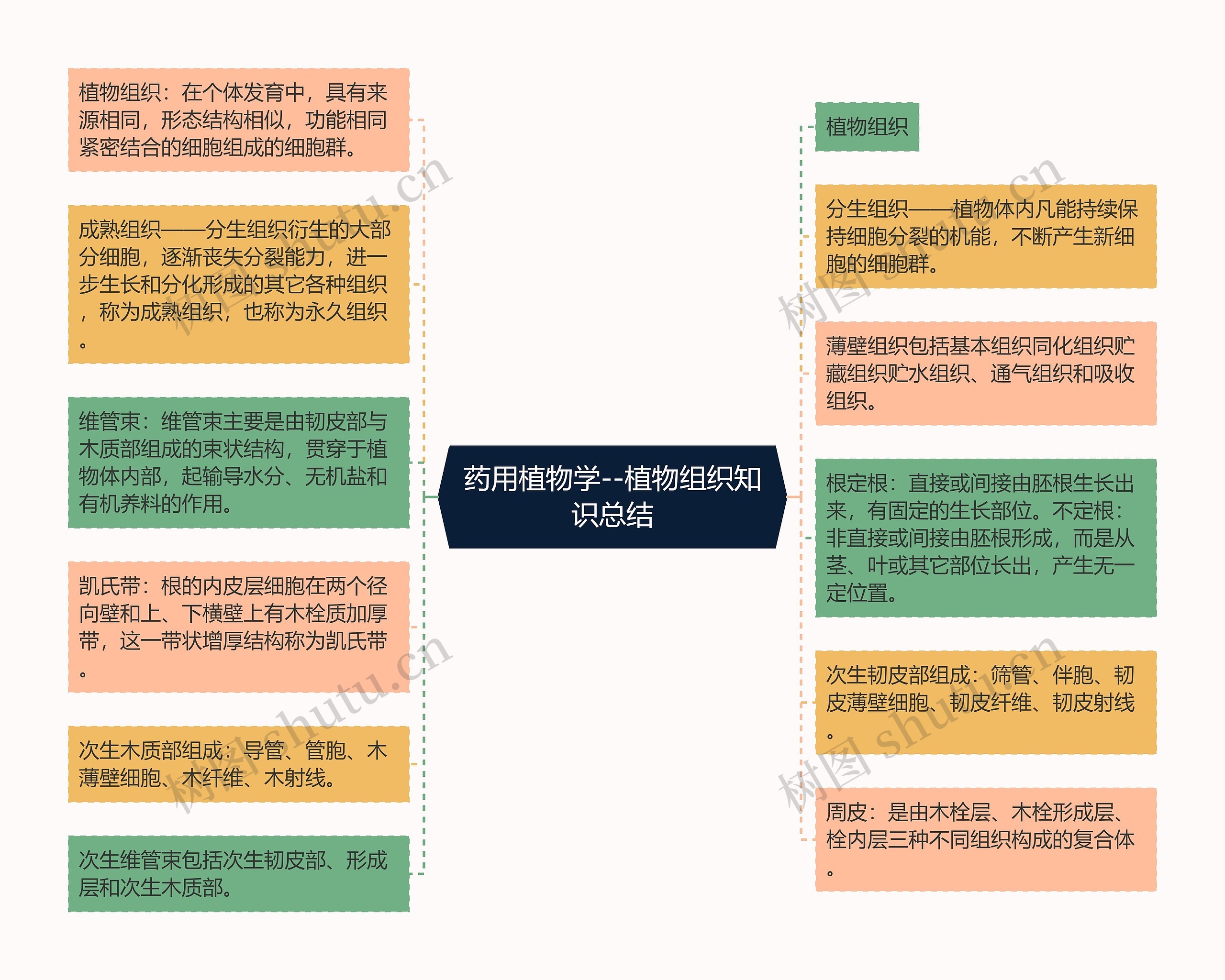 药用植物学--植物组织知识总结 药用植物学--植物组织知识总结