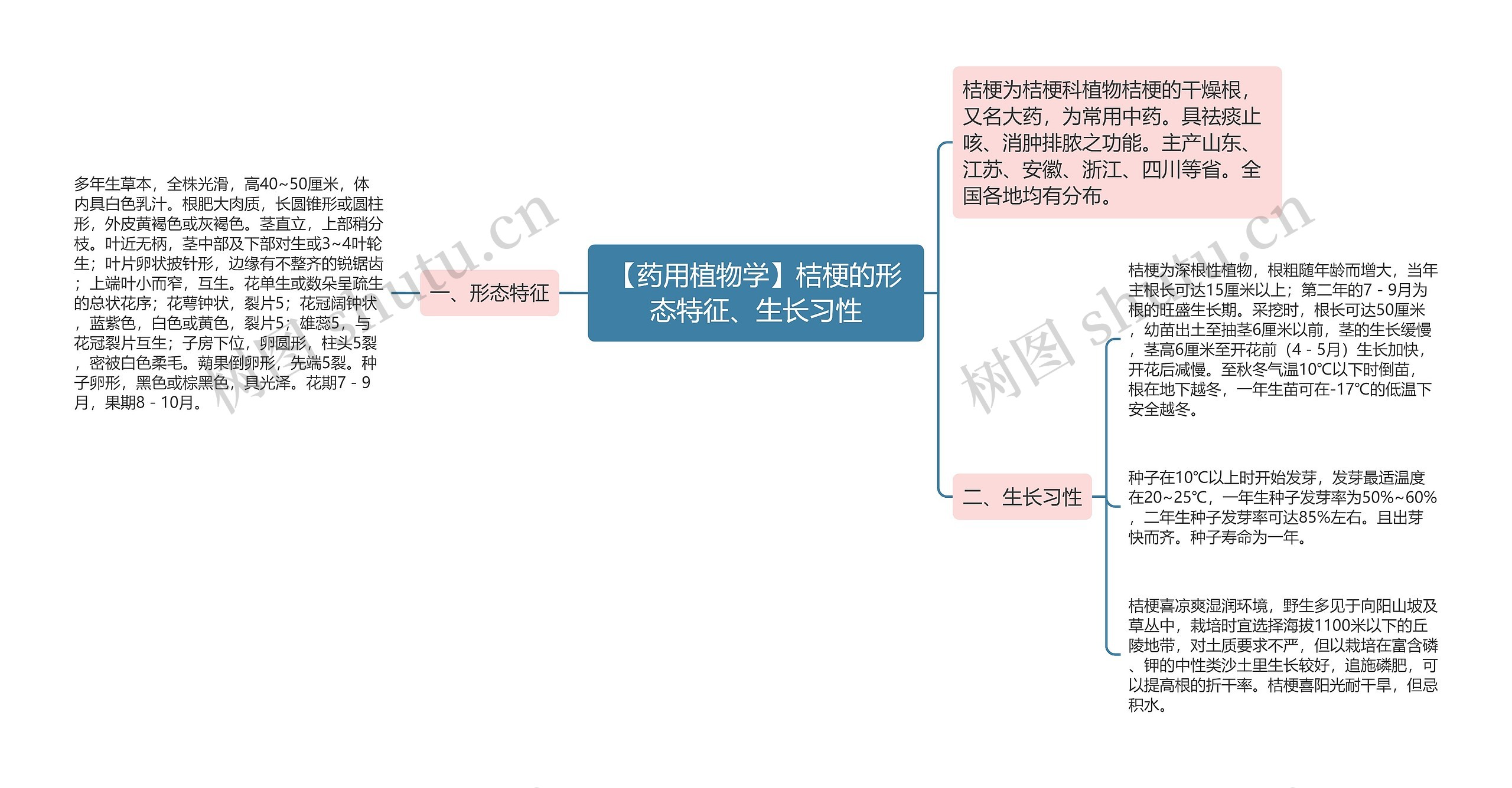 【药用植物学】桔梗的形态特征、生长习性 【药用植物学】桔梗的形态特征、生长习性