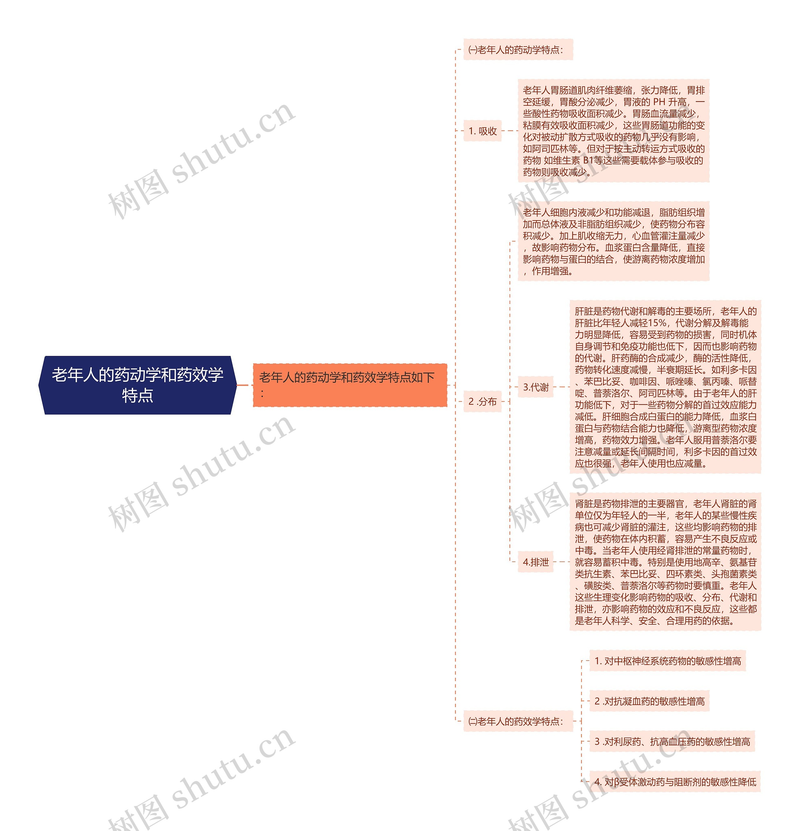 老年人的药动学和药效学特点