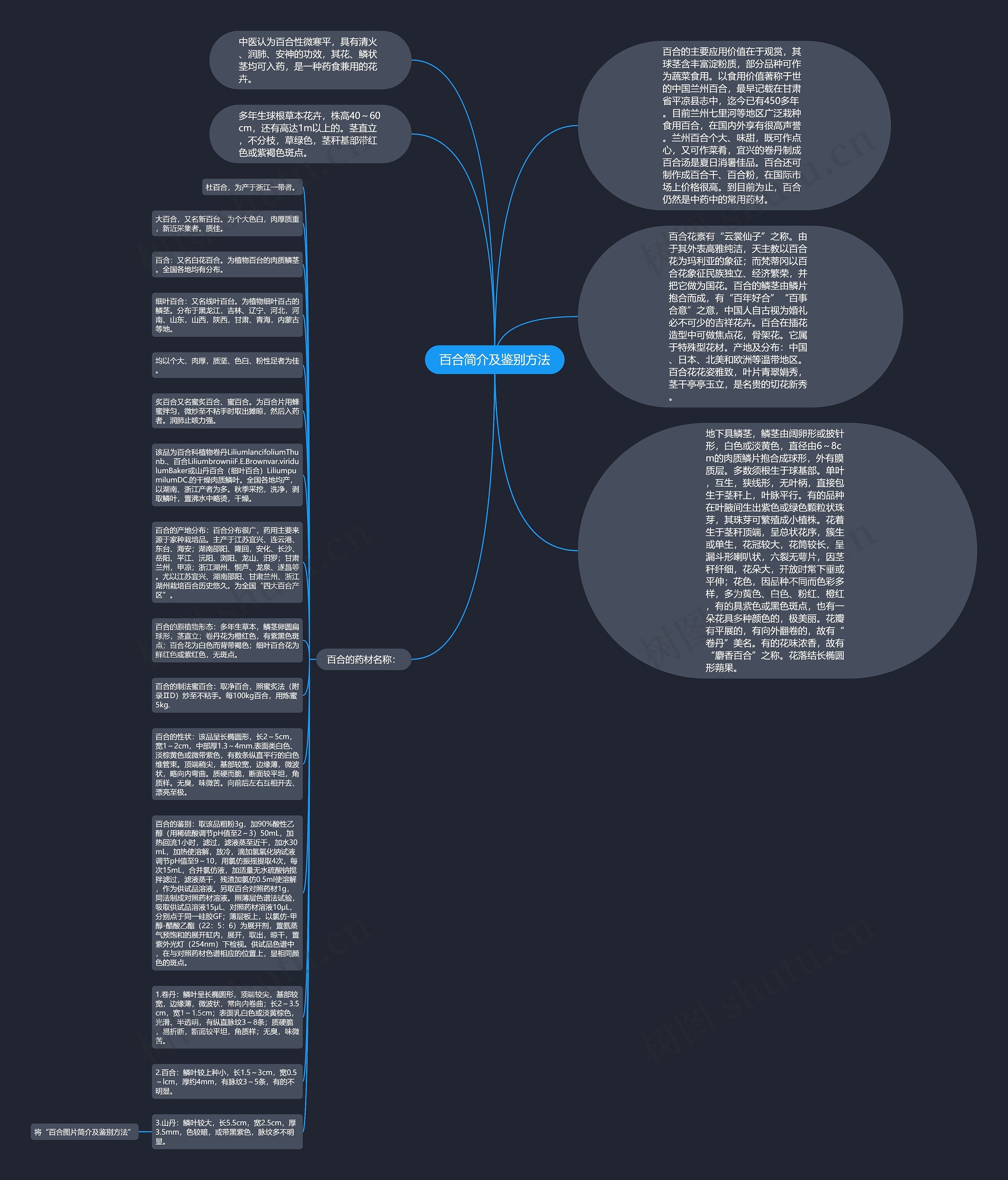 百合简介及鉴别方法思维导图