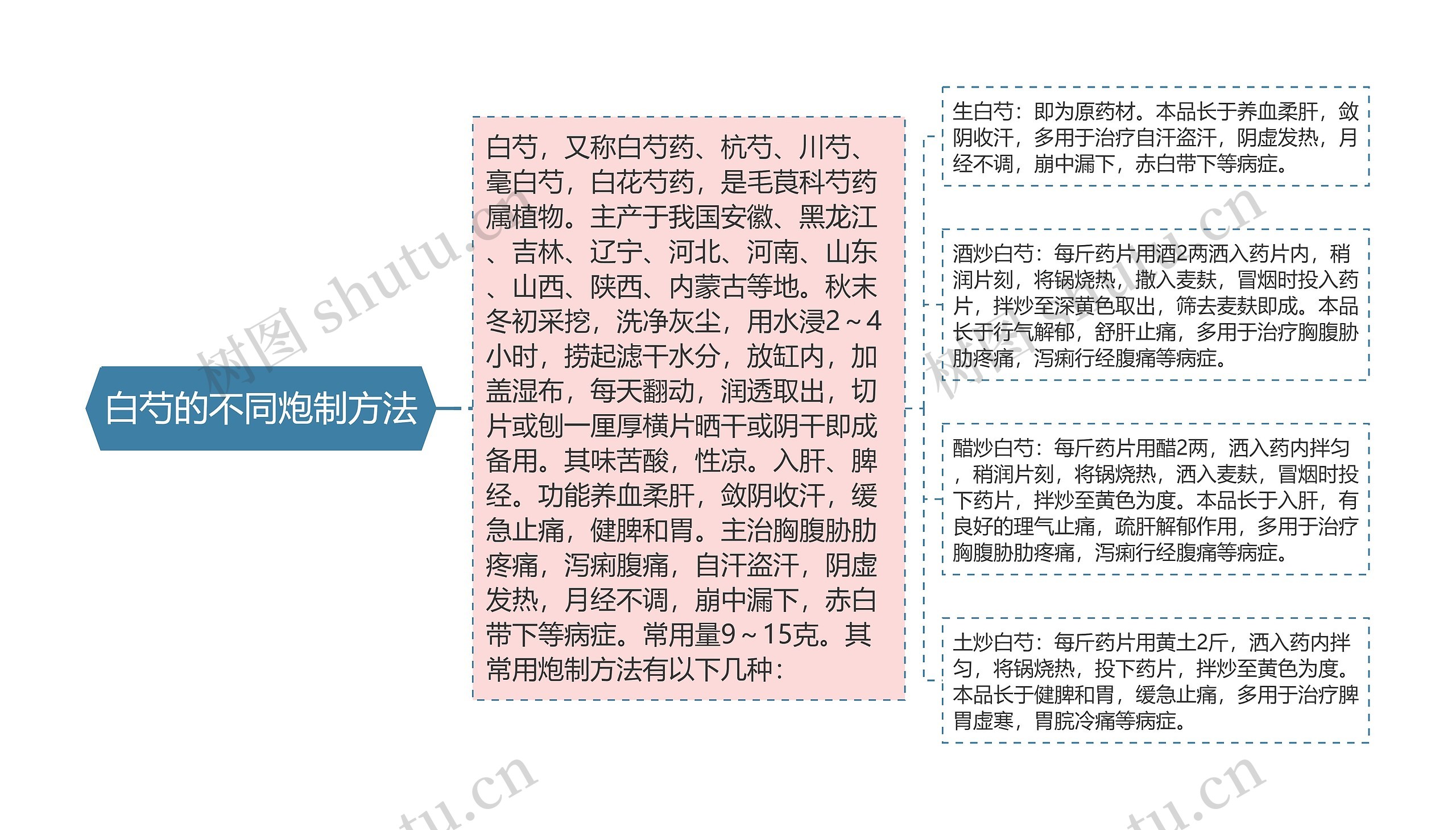 白芍的不同炮制方法思维导图