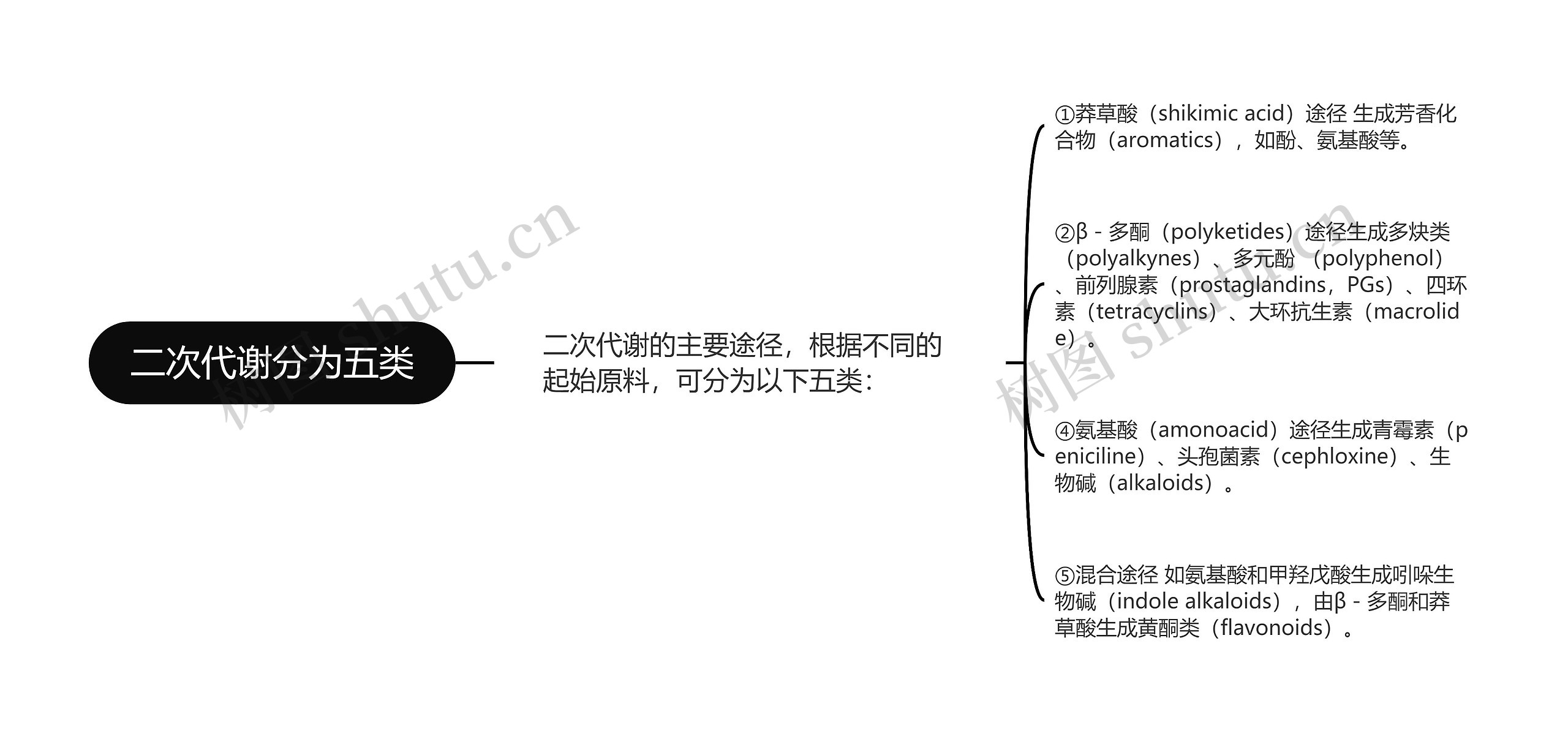 二次代谢分为五类