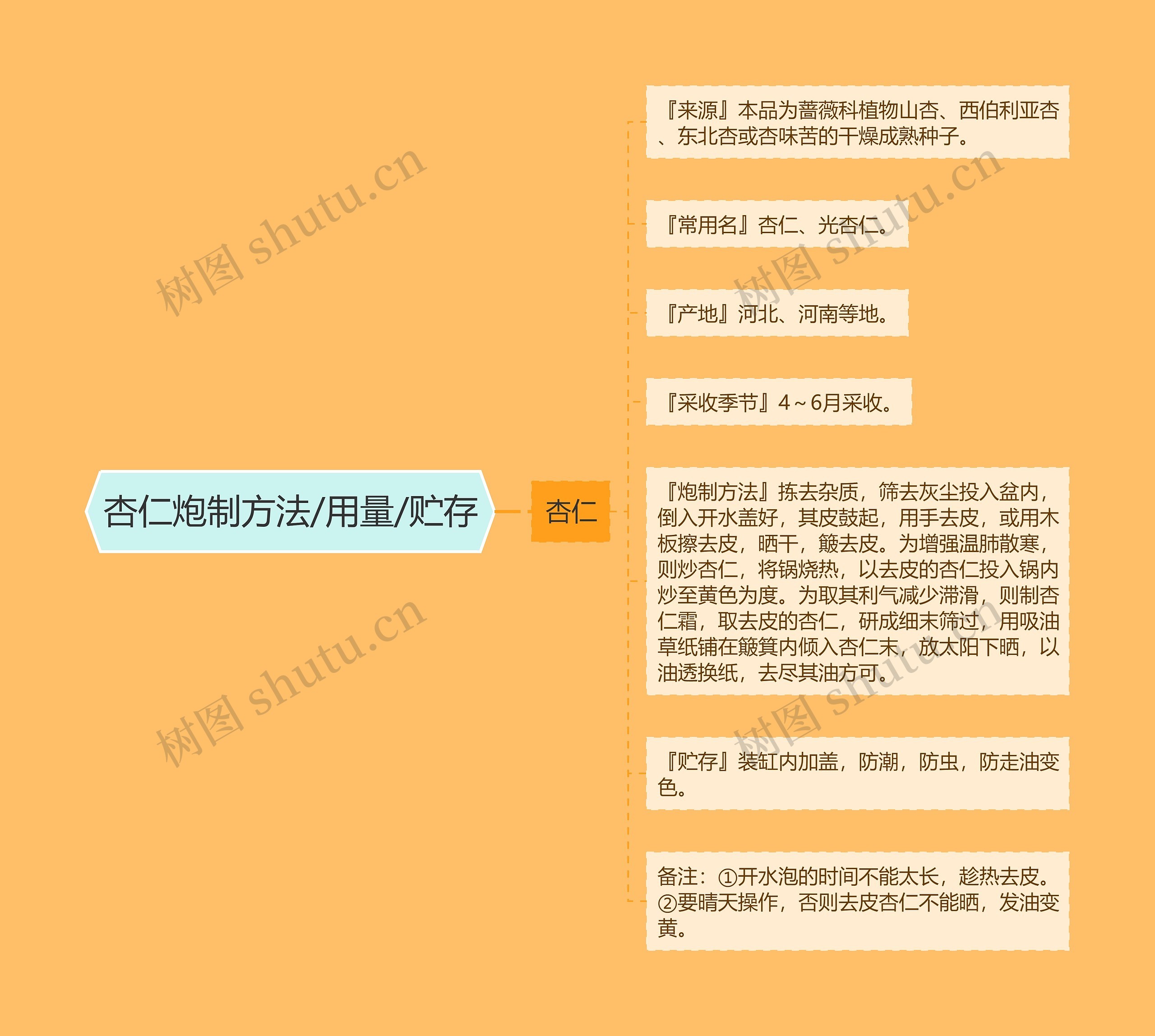 杏仁炮制方法/用量/贮存思维导图