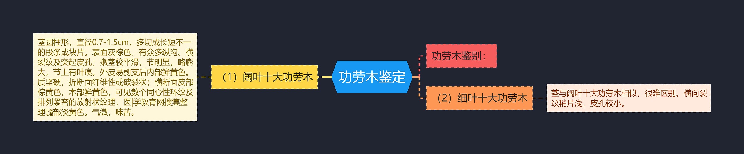 功劳木鉴定思维导图