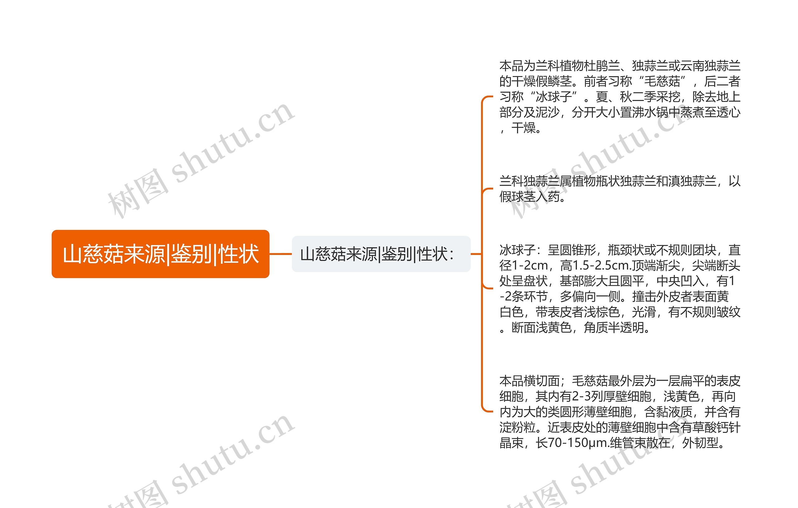 山慈菇来源|鉴别|性状思维导图