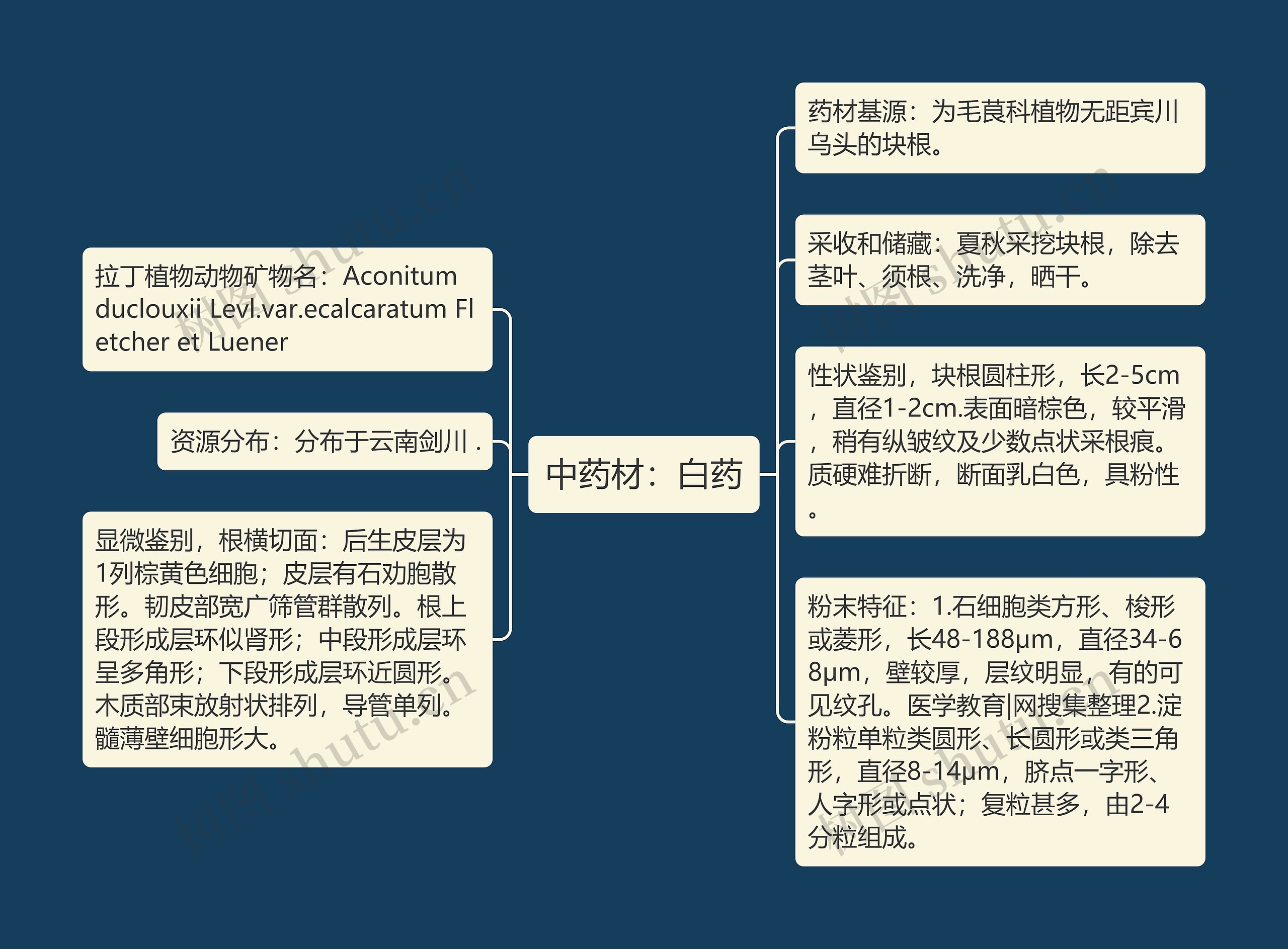 中药材：白药思维导图