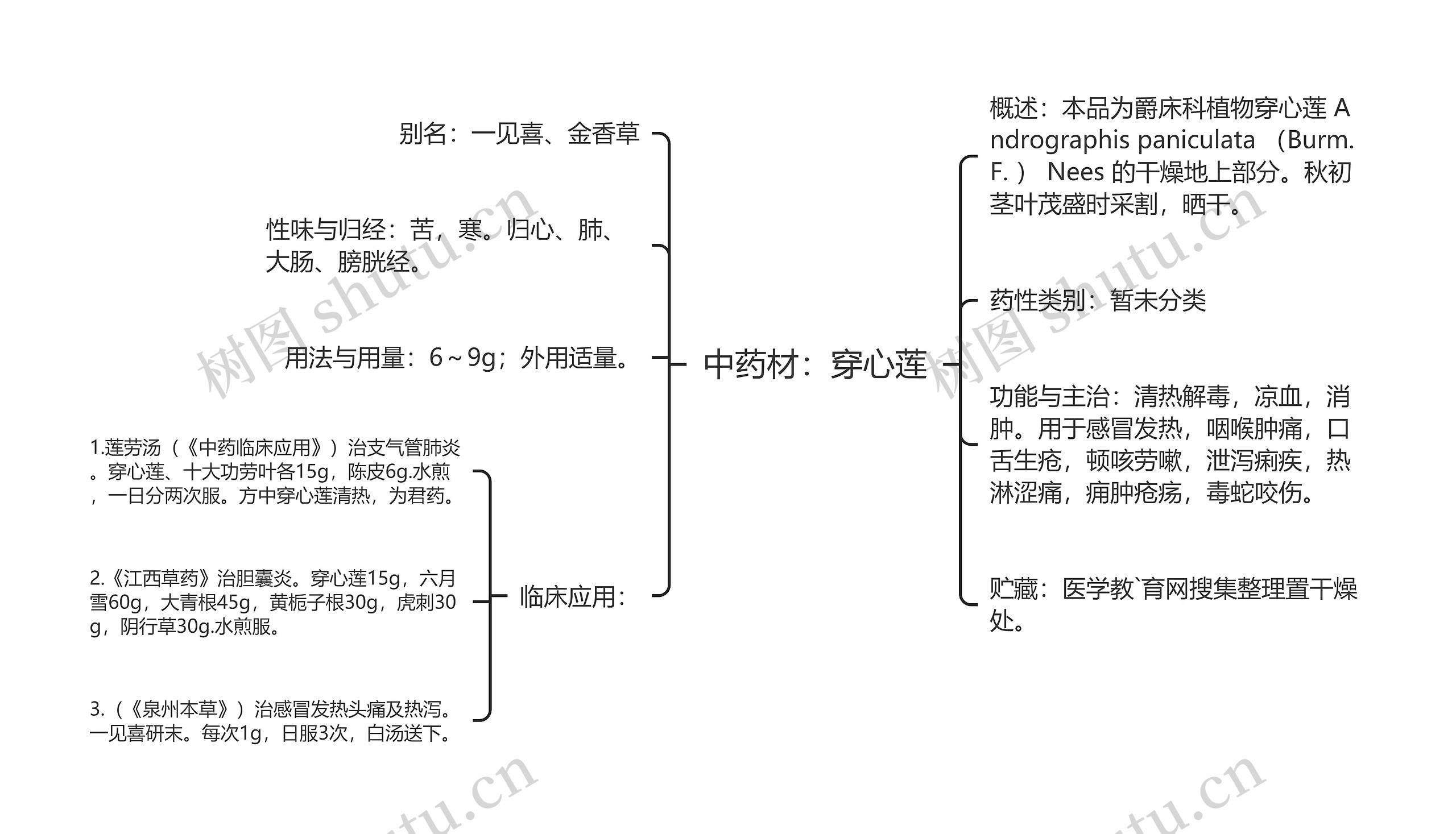 中药材：穿心莲