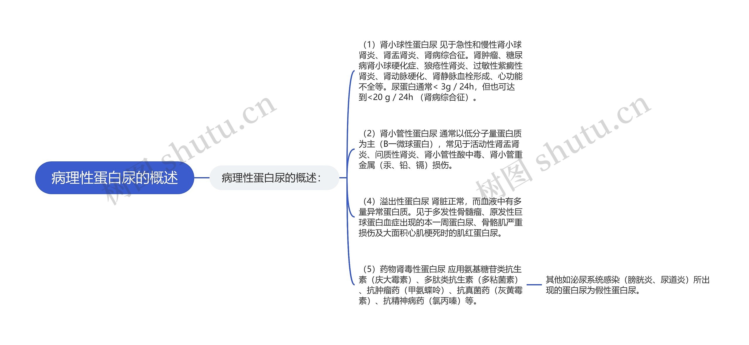 病理性蛋白尿的概述思维导图