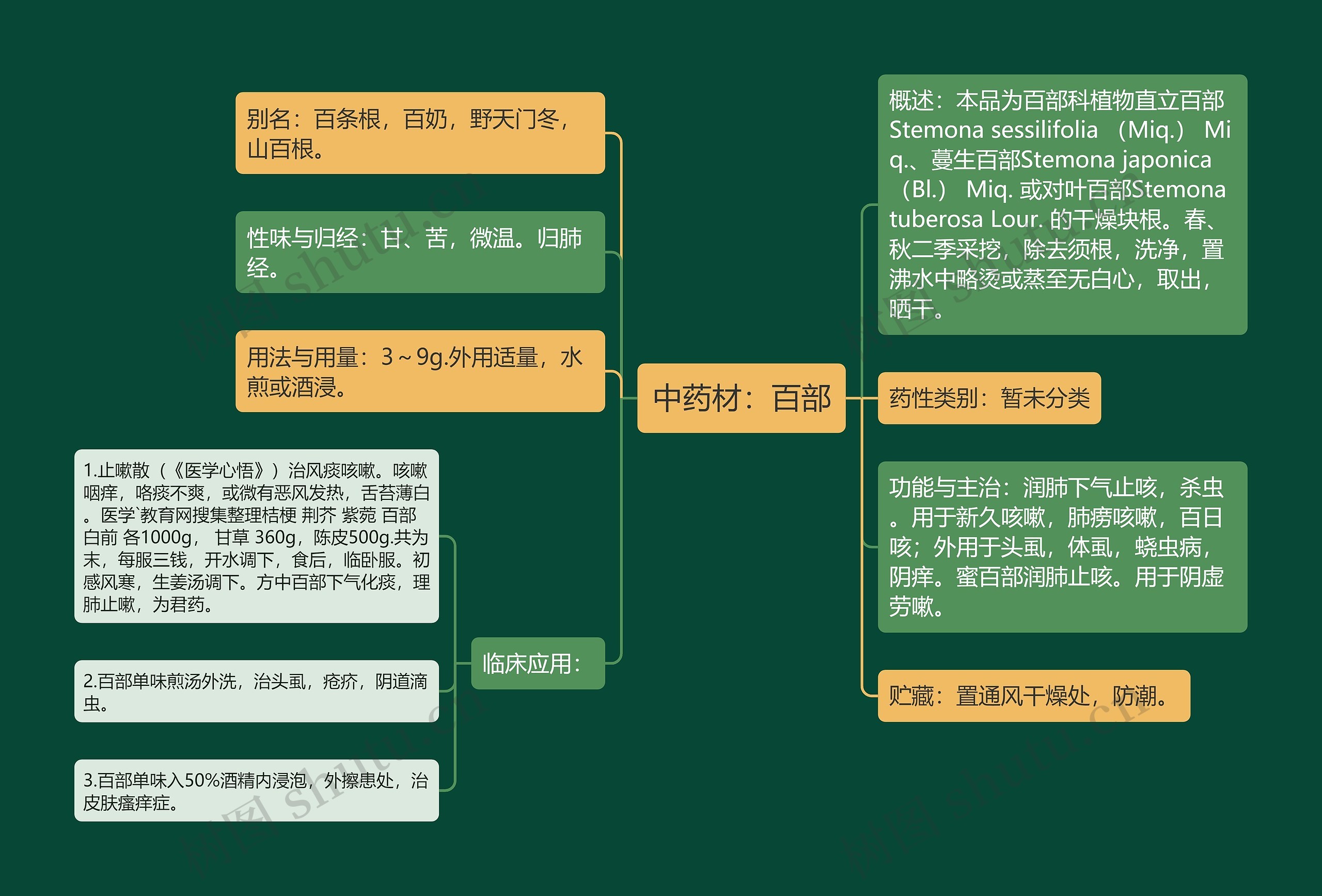 中药材：百部思维导图