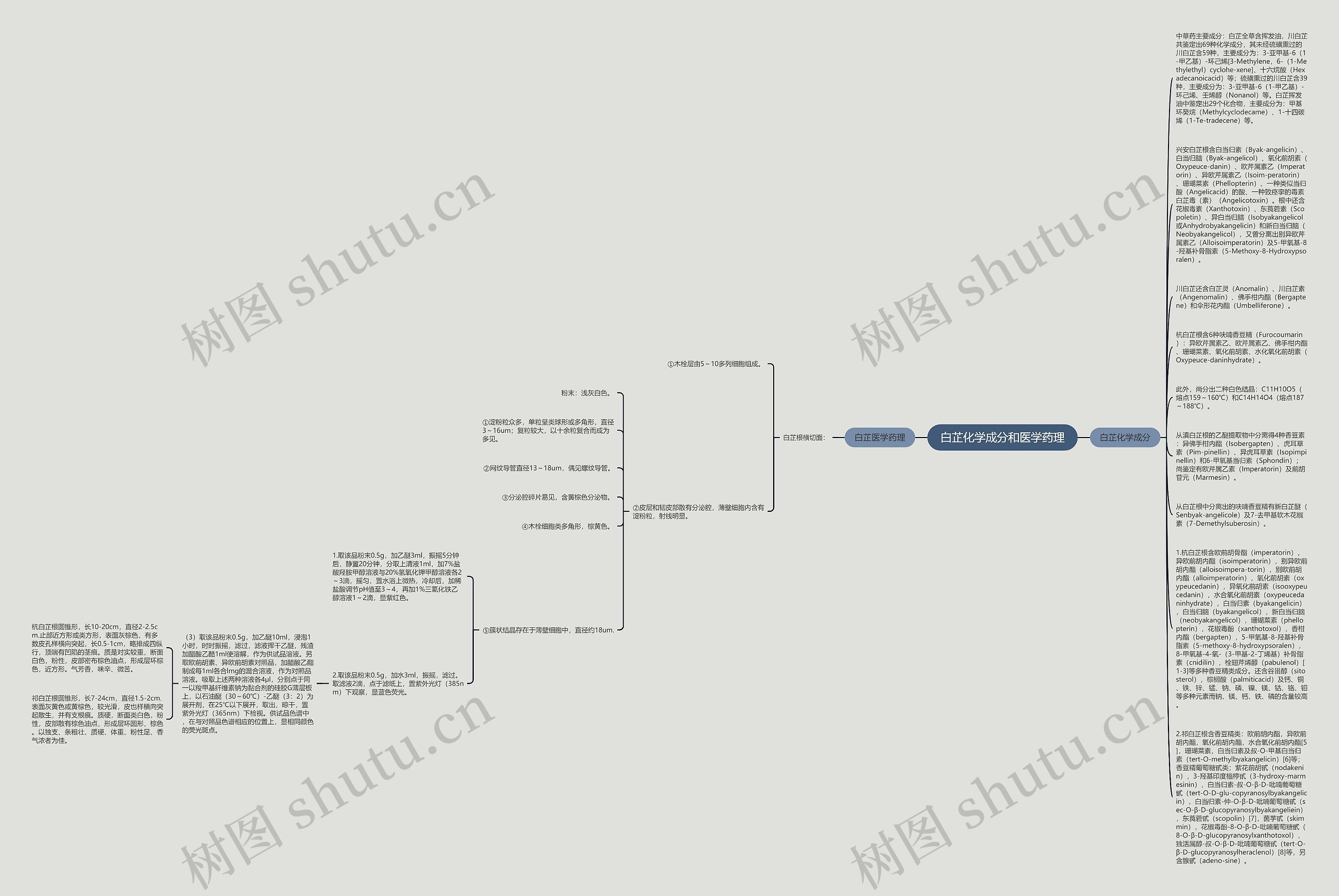 白芷化学成分和医学药理思维导图