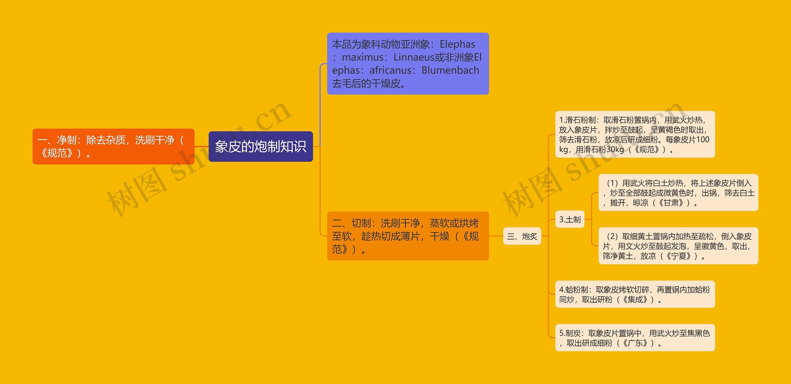 象皮的炮制知识 象皮的炮制知识