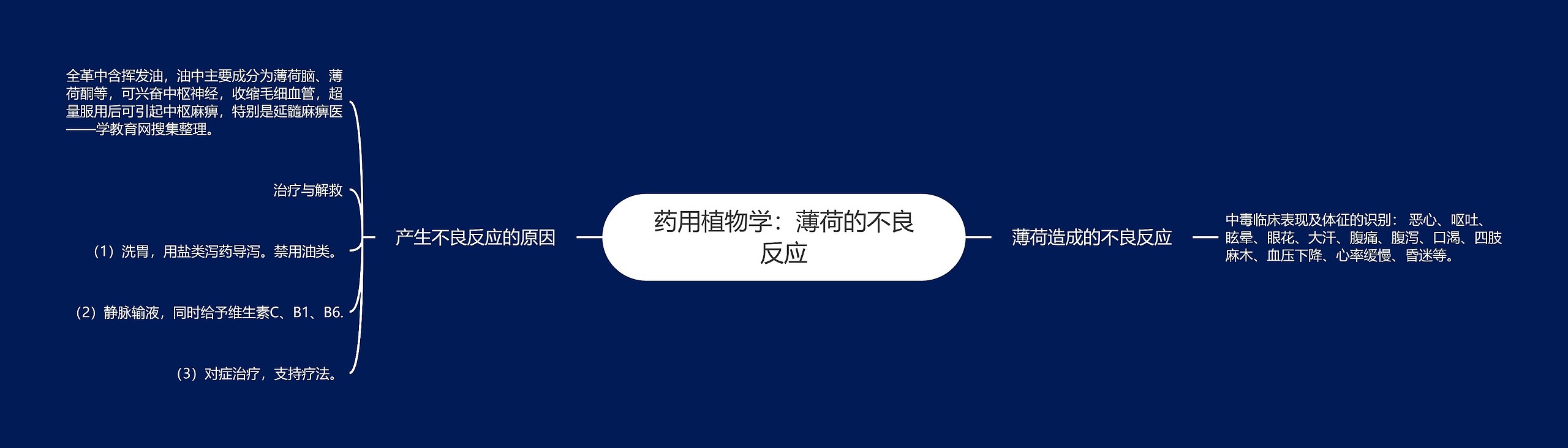 药用植物学:薄荷的不良反应 药用植物学:薄荷的不良反应