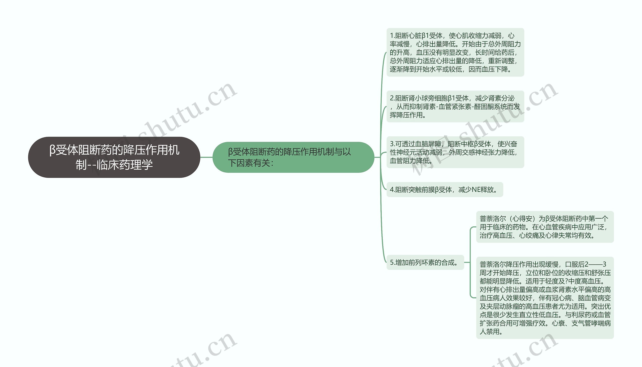 ​β受体阻断药的降压作用机制--临床药理学