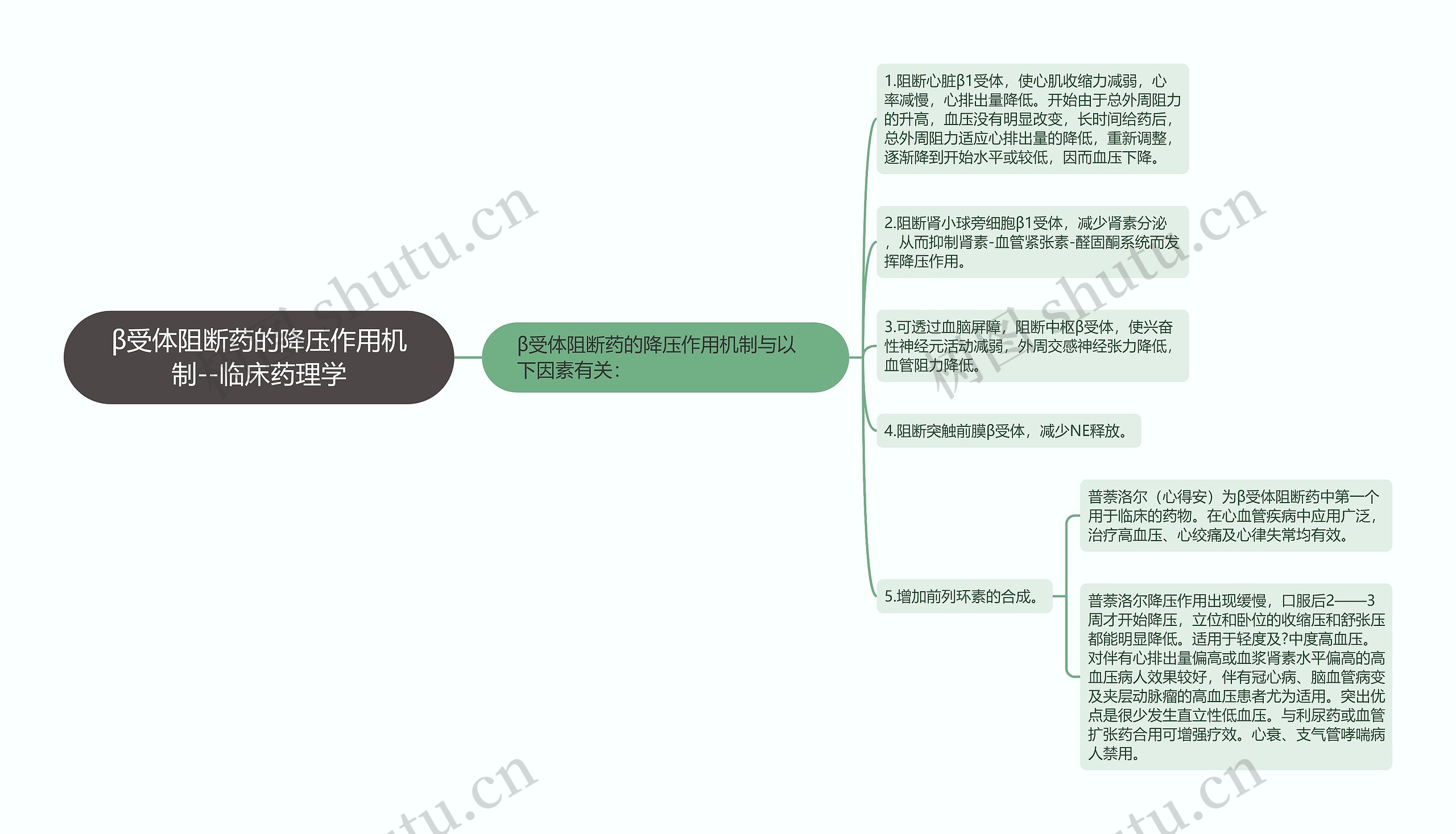 ​β受体阻断药的降压作用机制--临床药理学思维导图