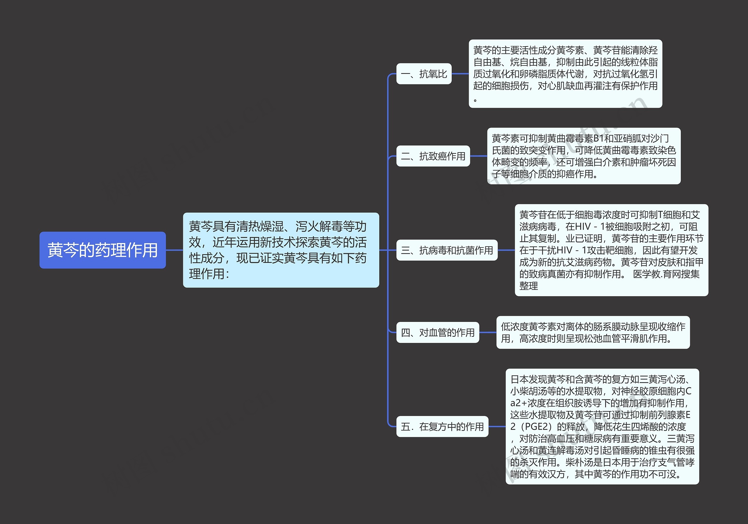 黄芩的药理作用思维导图