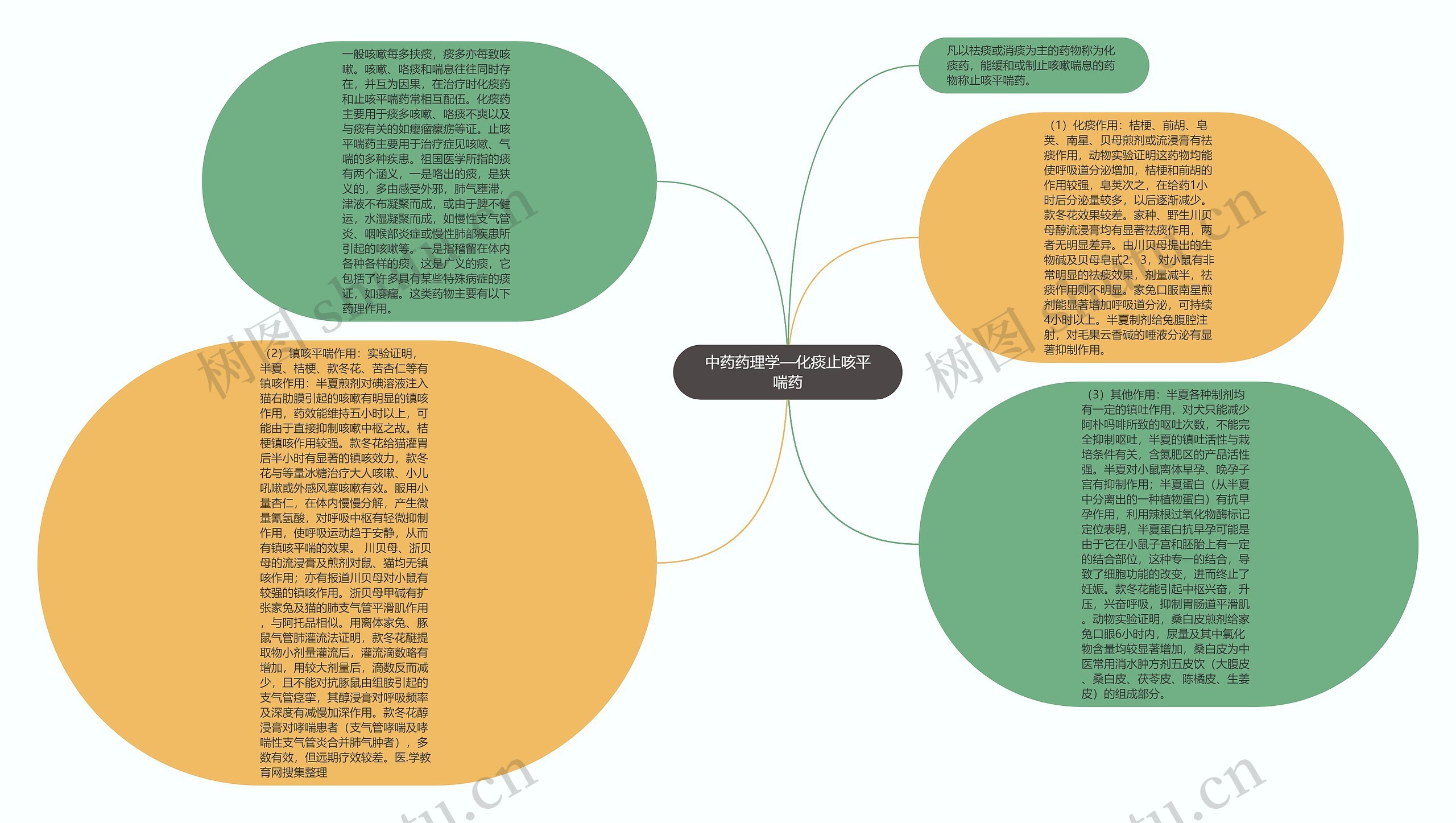 中药药理学—化痰止咳平喘药