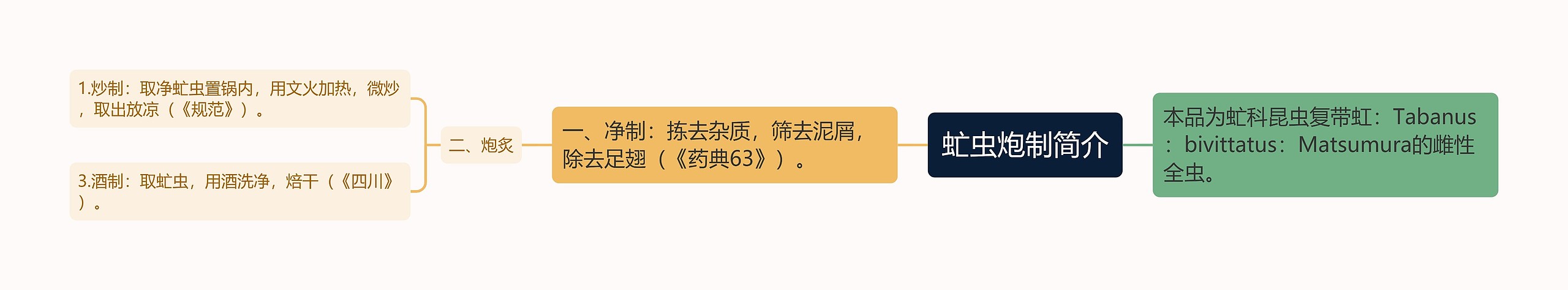 虻虫炮制简介思维导图