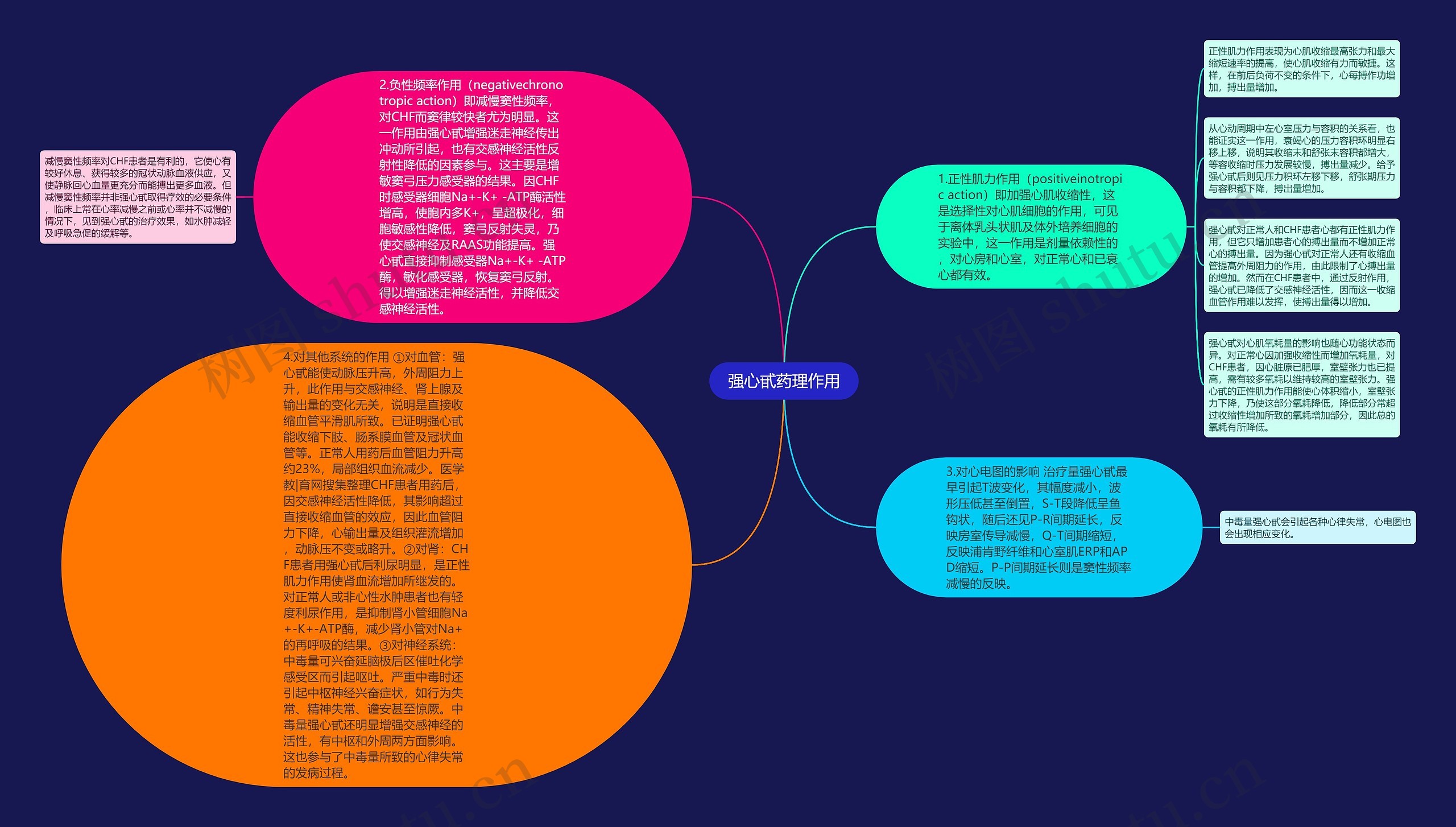 强心甙药理作用思维导图