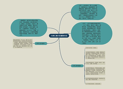 火麻仁简介及鉴别方法