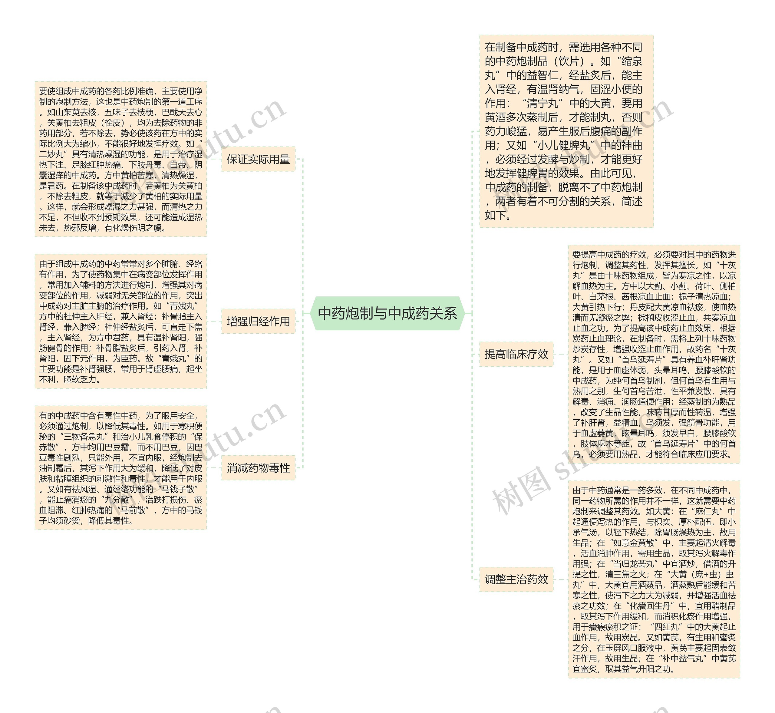 中药炮制与中成药关系思维导图