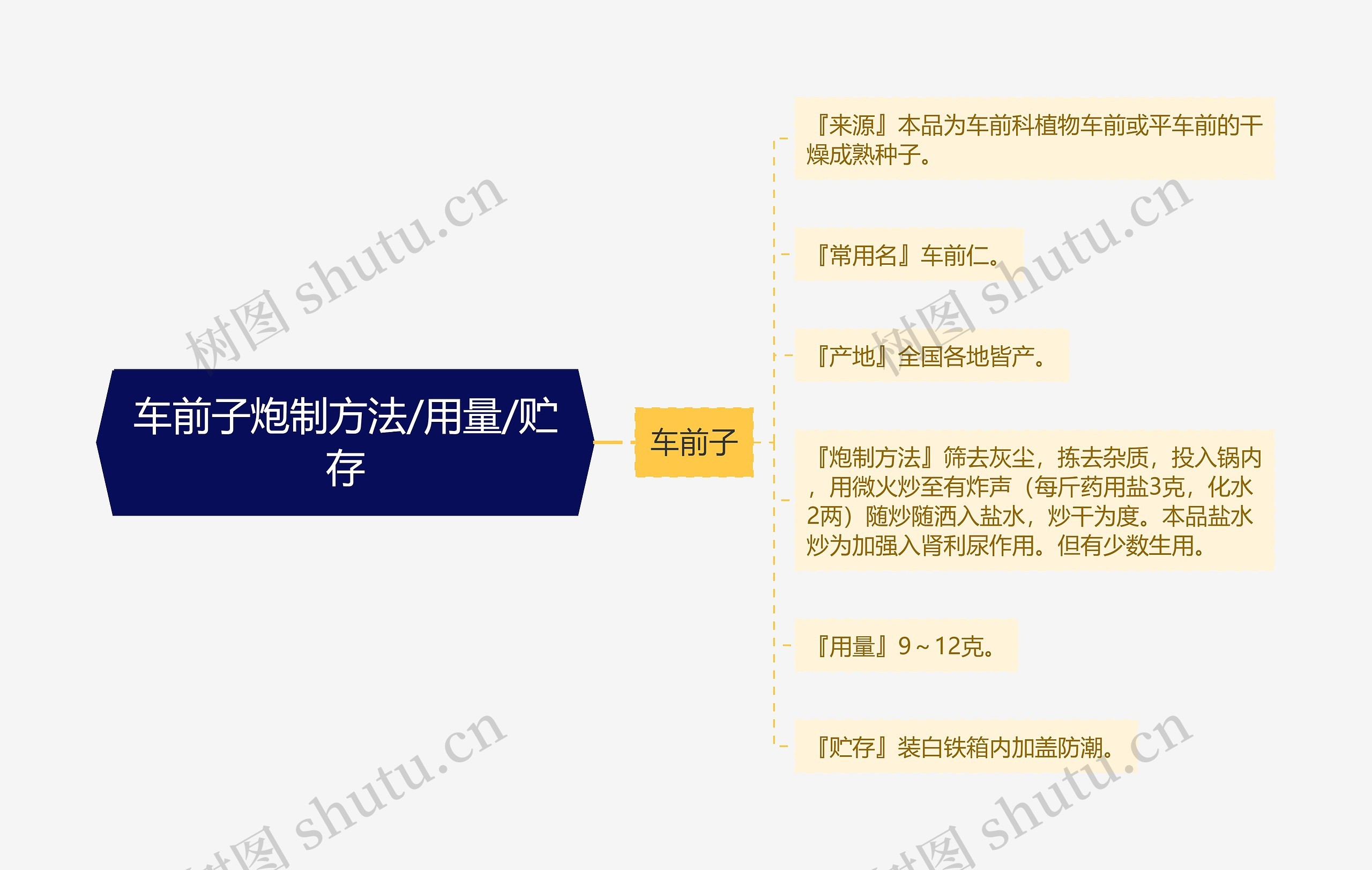 车前子炮制方法/用量/贮存