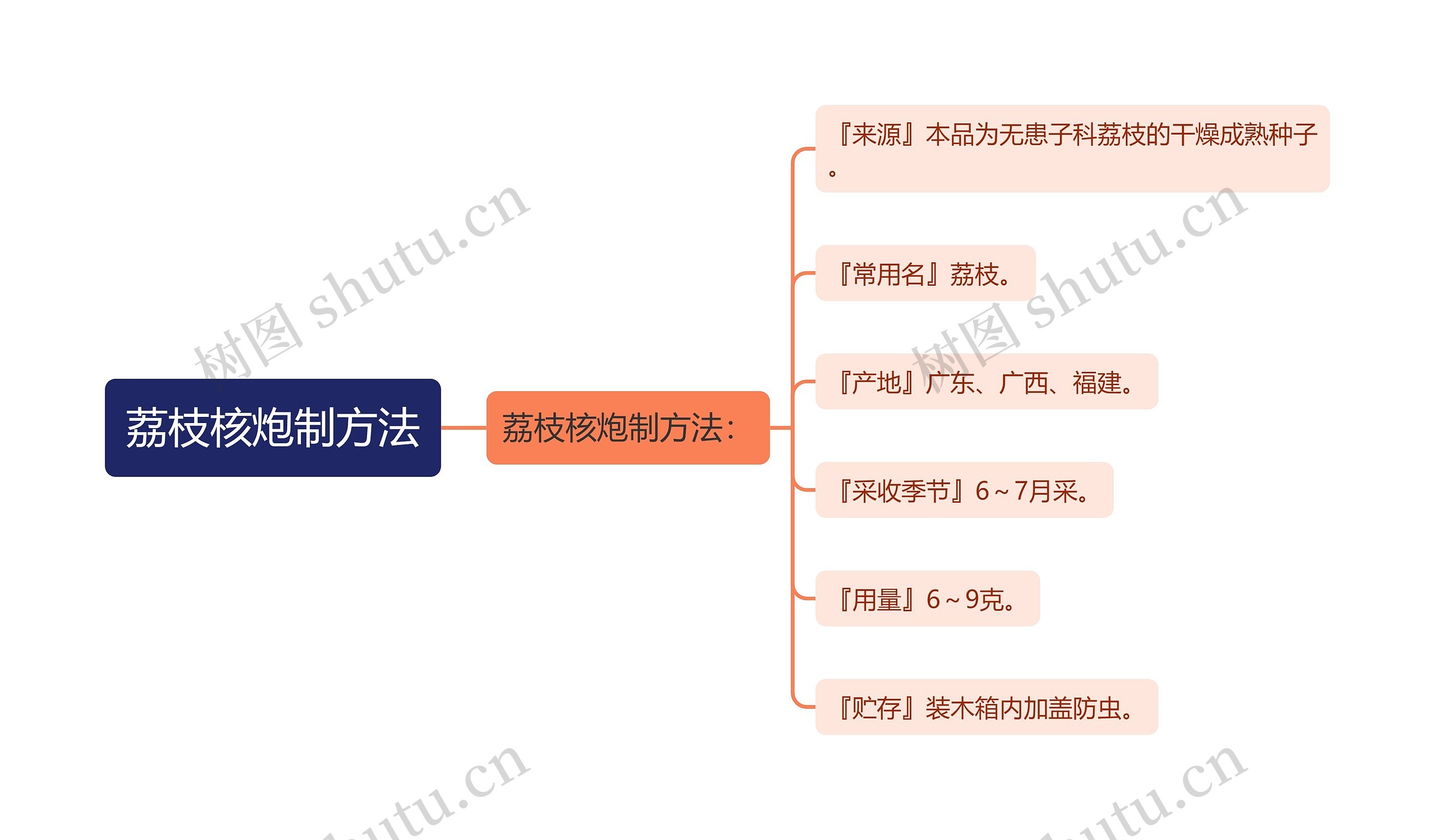 荔枝核炮制方法思维导图