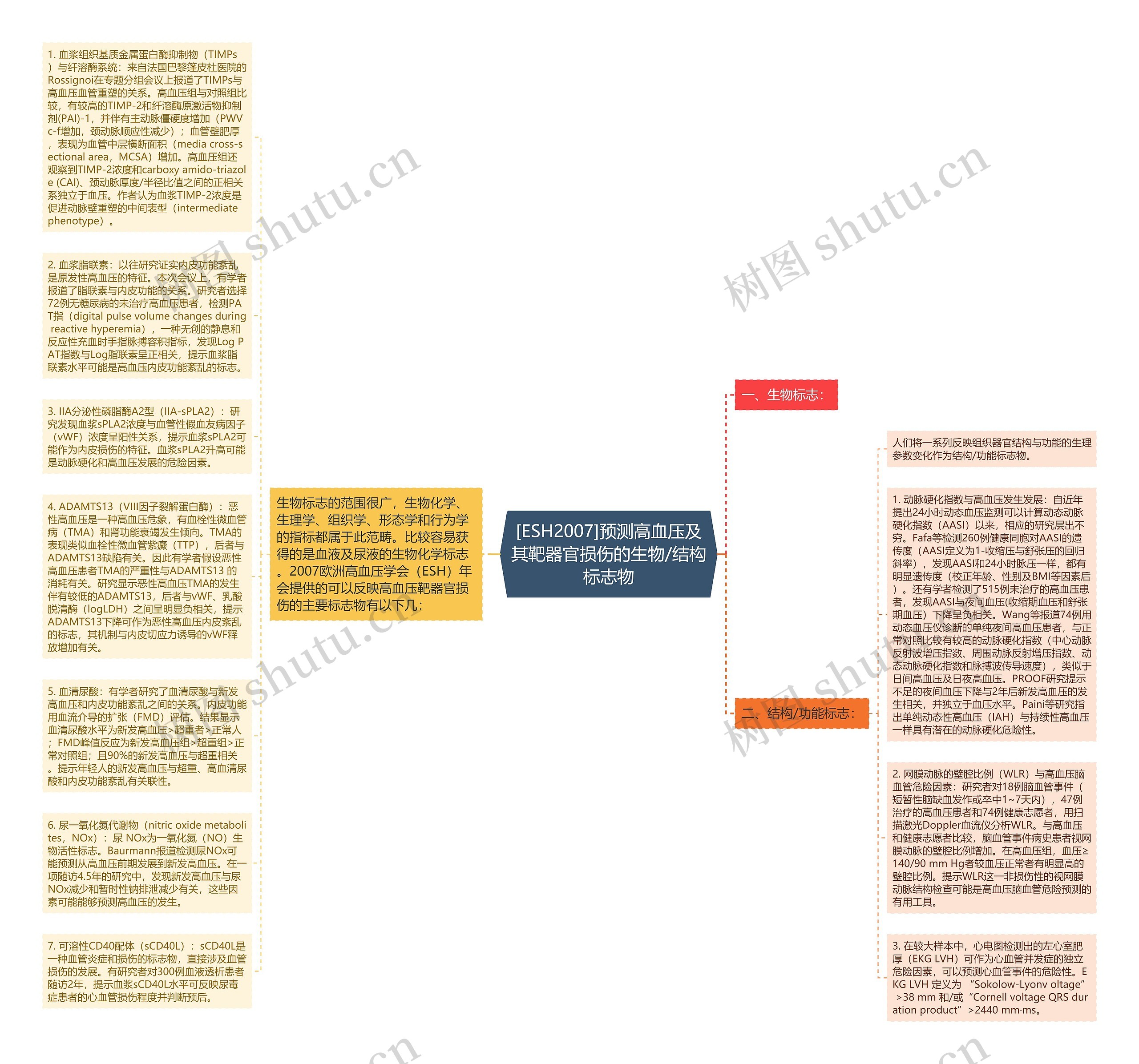 [ESH2007]预测高血压及其靶器官损伤的生物/结构标志物思维导图