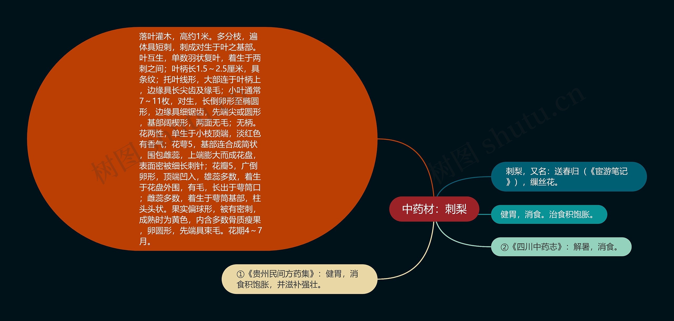 中药材：刺梨思维导图