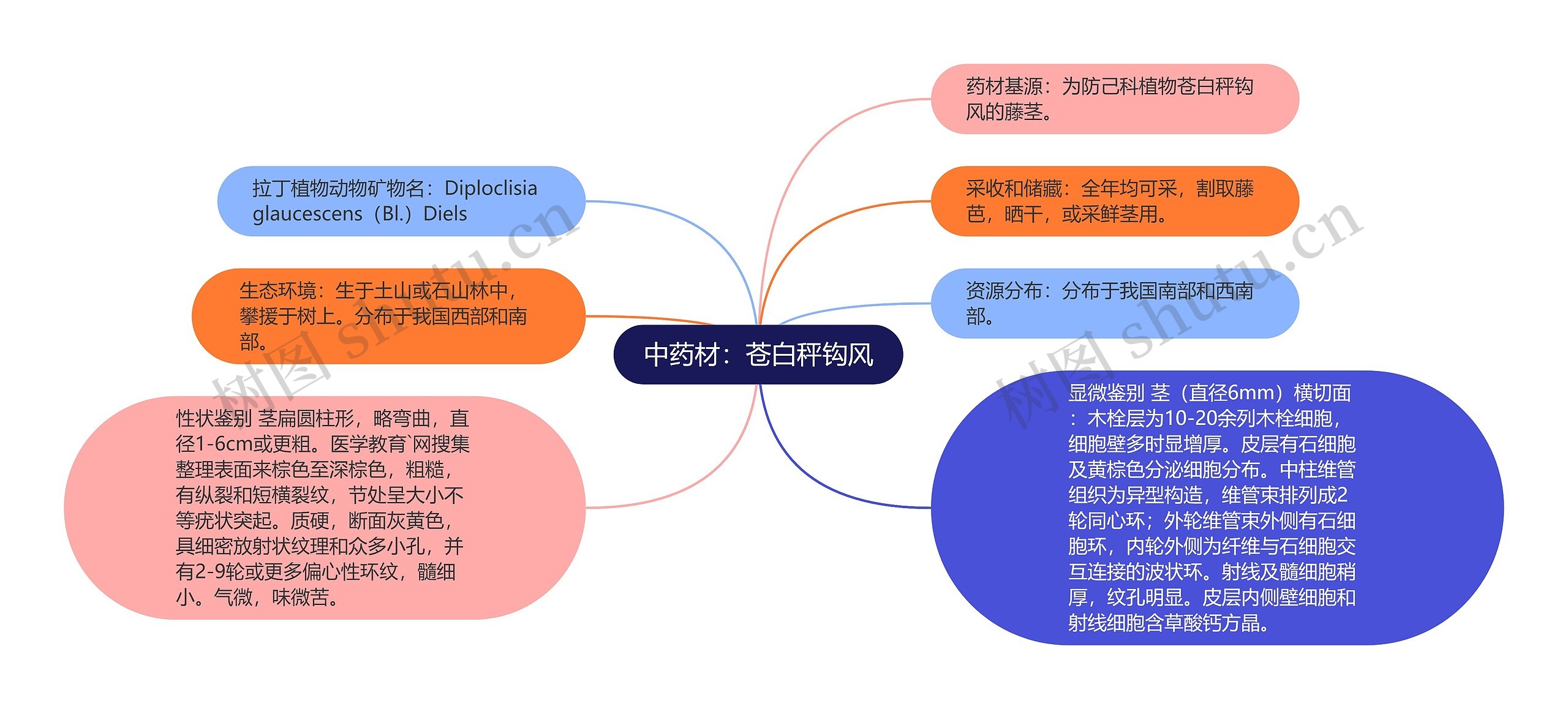 中药材：苍白秤钩风