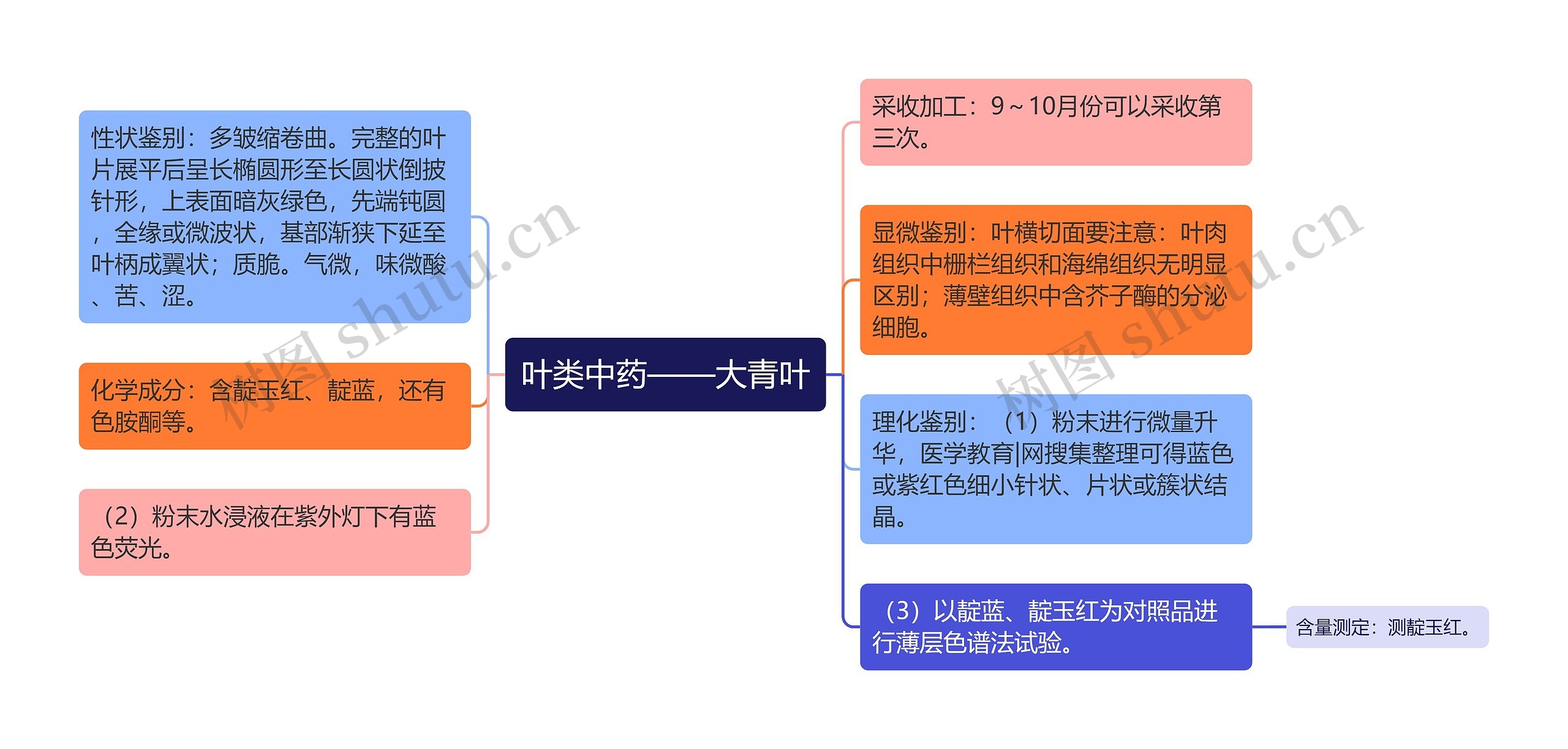 叶类中药——大青叶思维导图