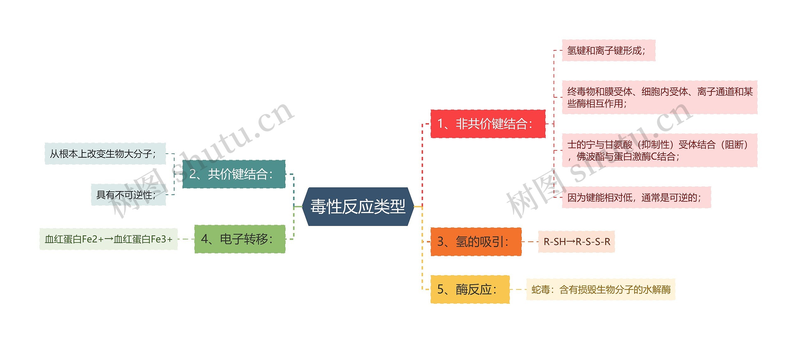 毒性反应类型