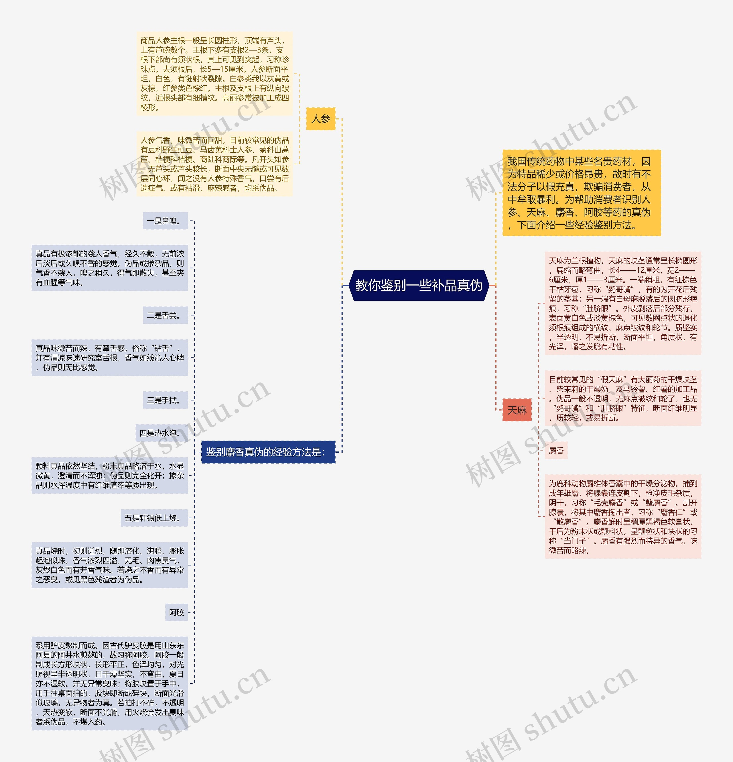 教你鉴别一些补品真伪思维导图