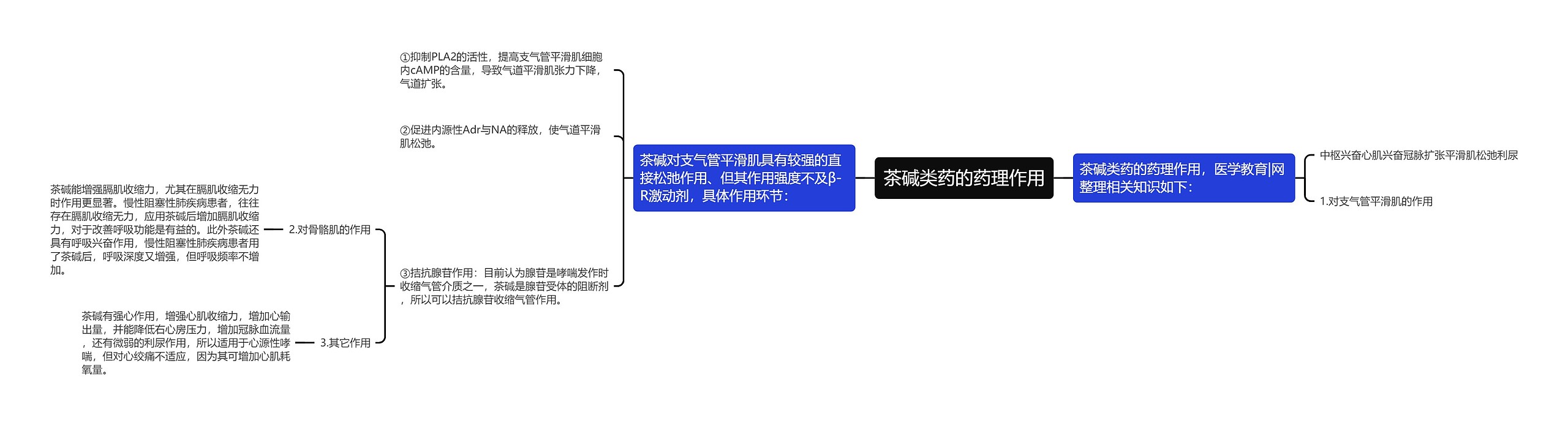 茶碱类药的药理作用思维导图