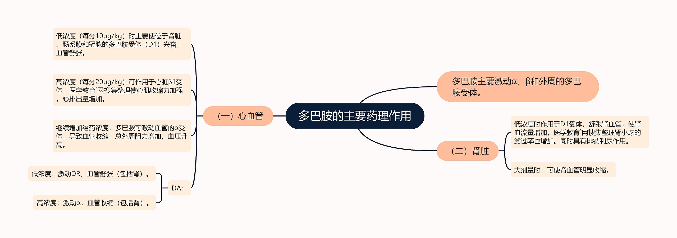 多巴胺的主要药理作用思维导图