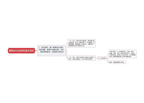 植物的分生组织|基本组织思维导图