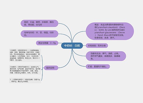 中药材：白前思维导图