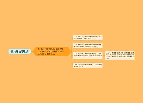 植物的输导组织 植物的输导组织