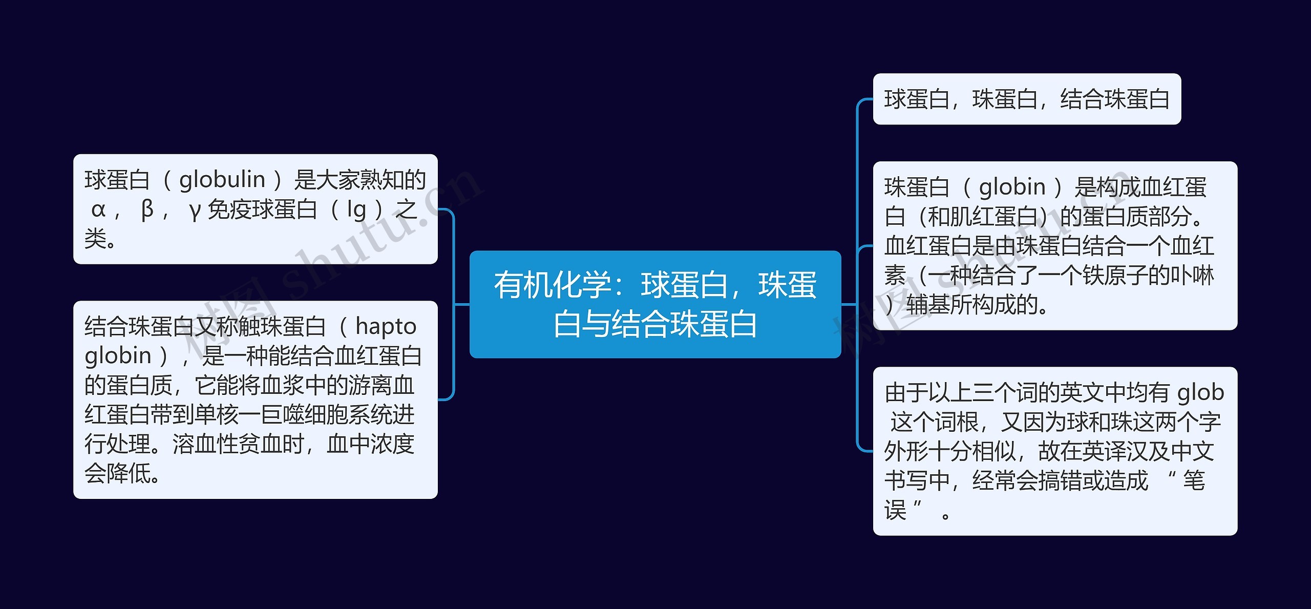 有机化学：球蛋白，珠蛋白与结合珠蛋白