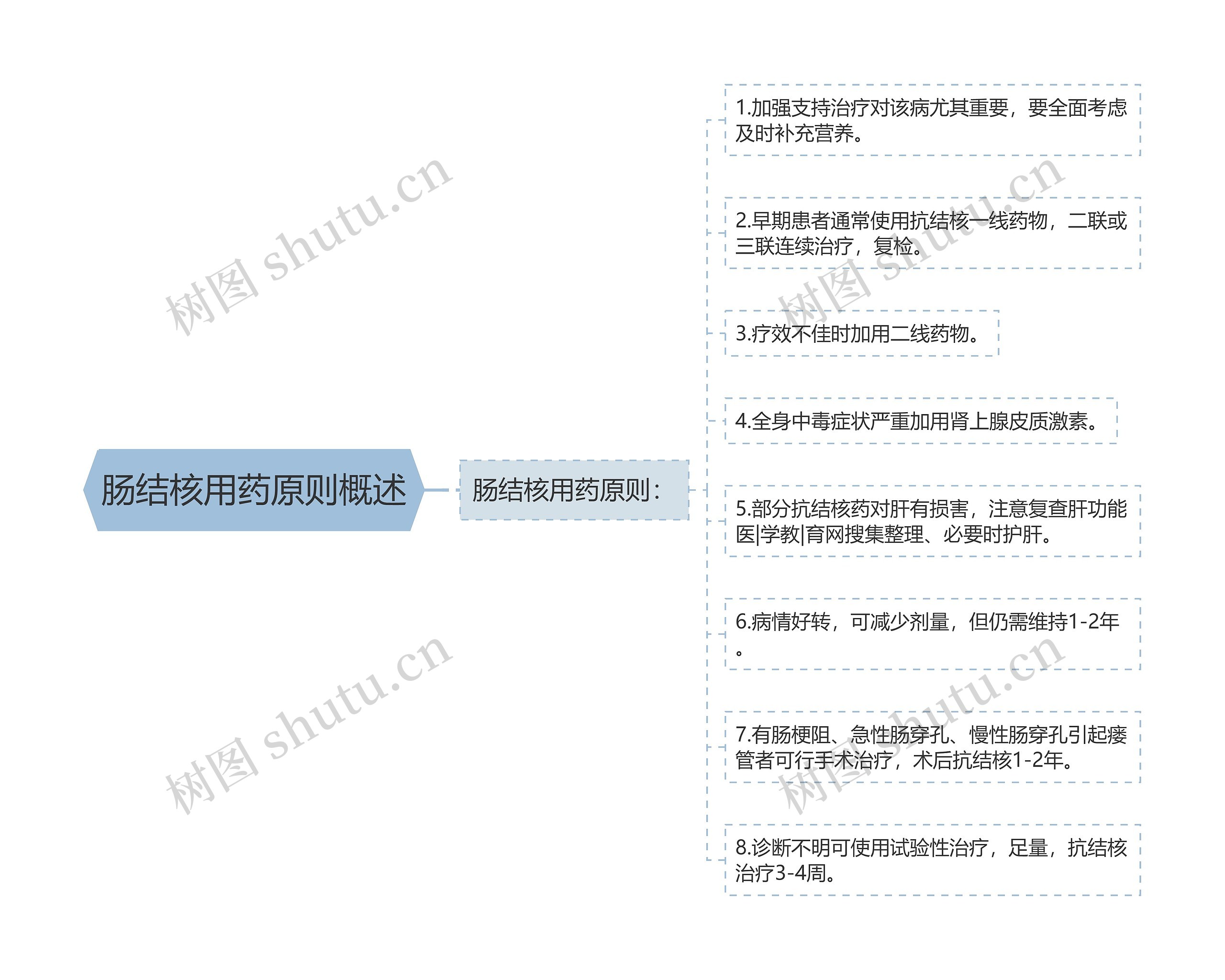 肠结核用药原则概述思维导图