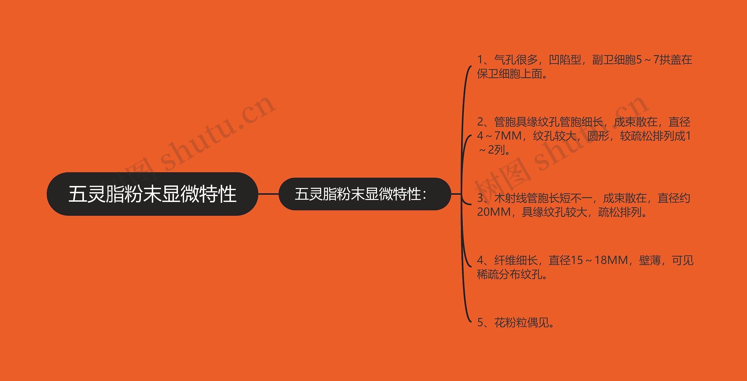 五灵脂粉末显微特性思维导图