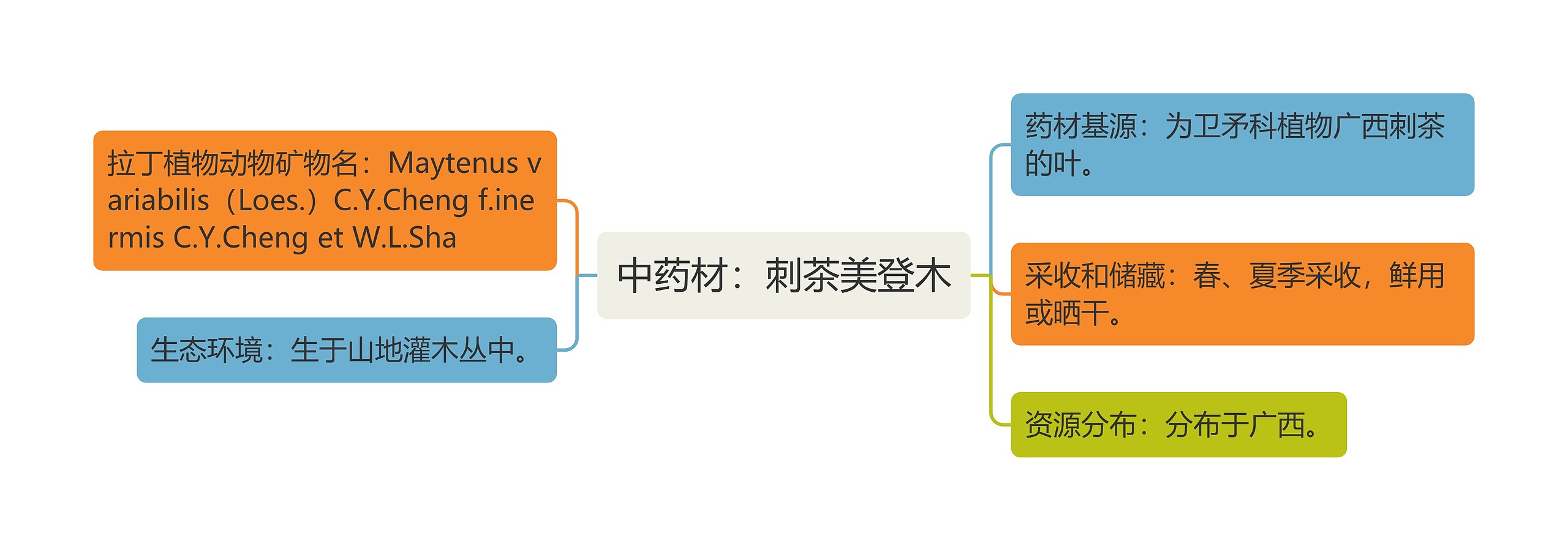 中药材：刺茶美登木