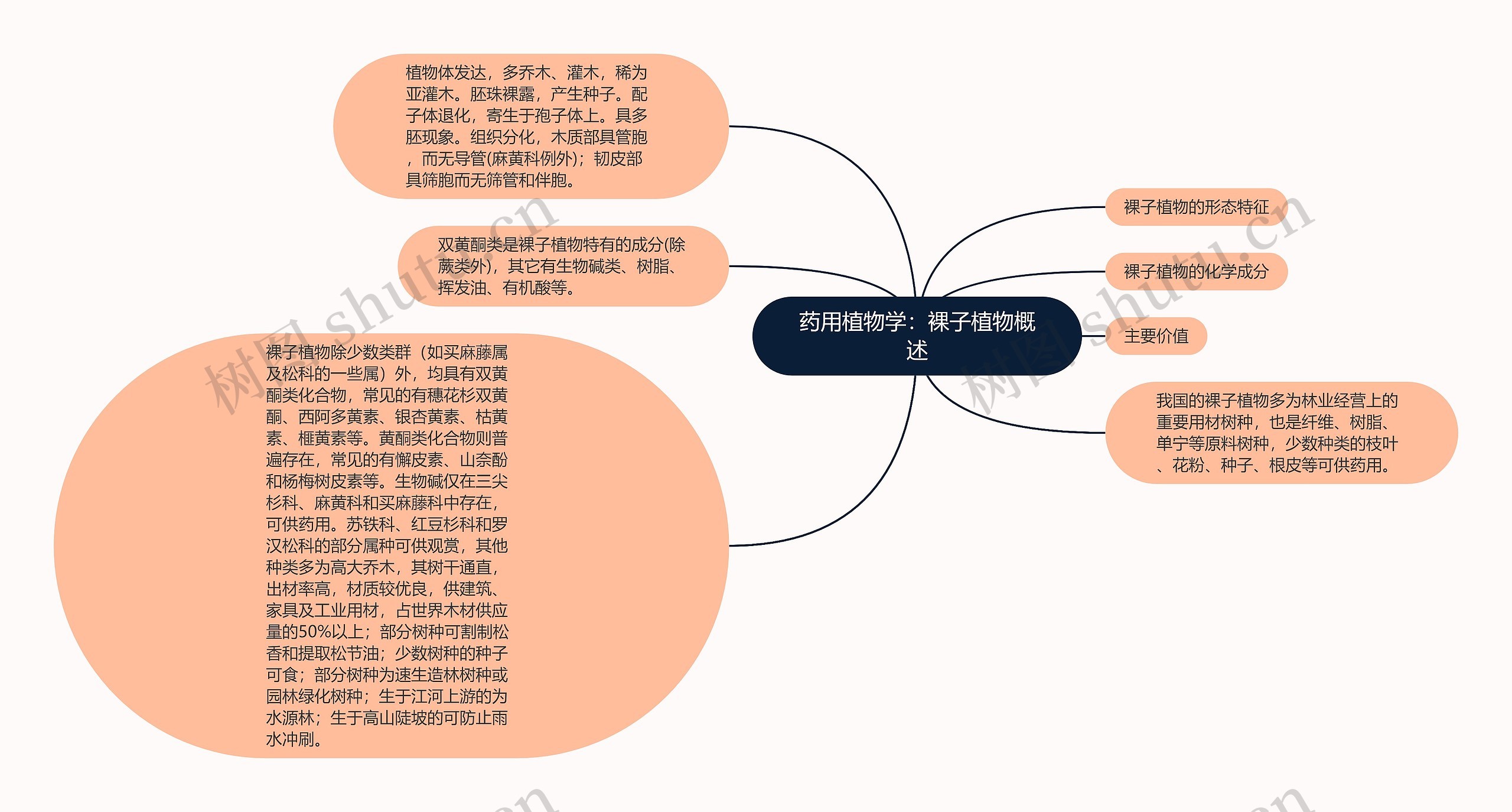 药用植物学:裸子植物概述 药用植物学:裸子植物概述