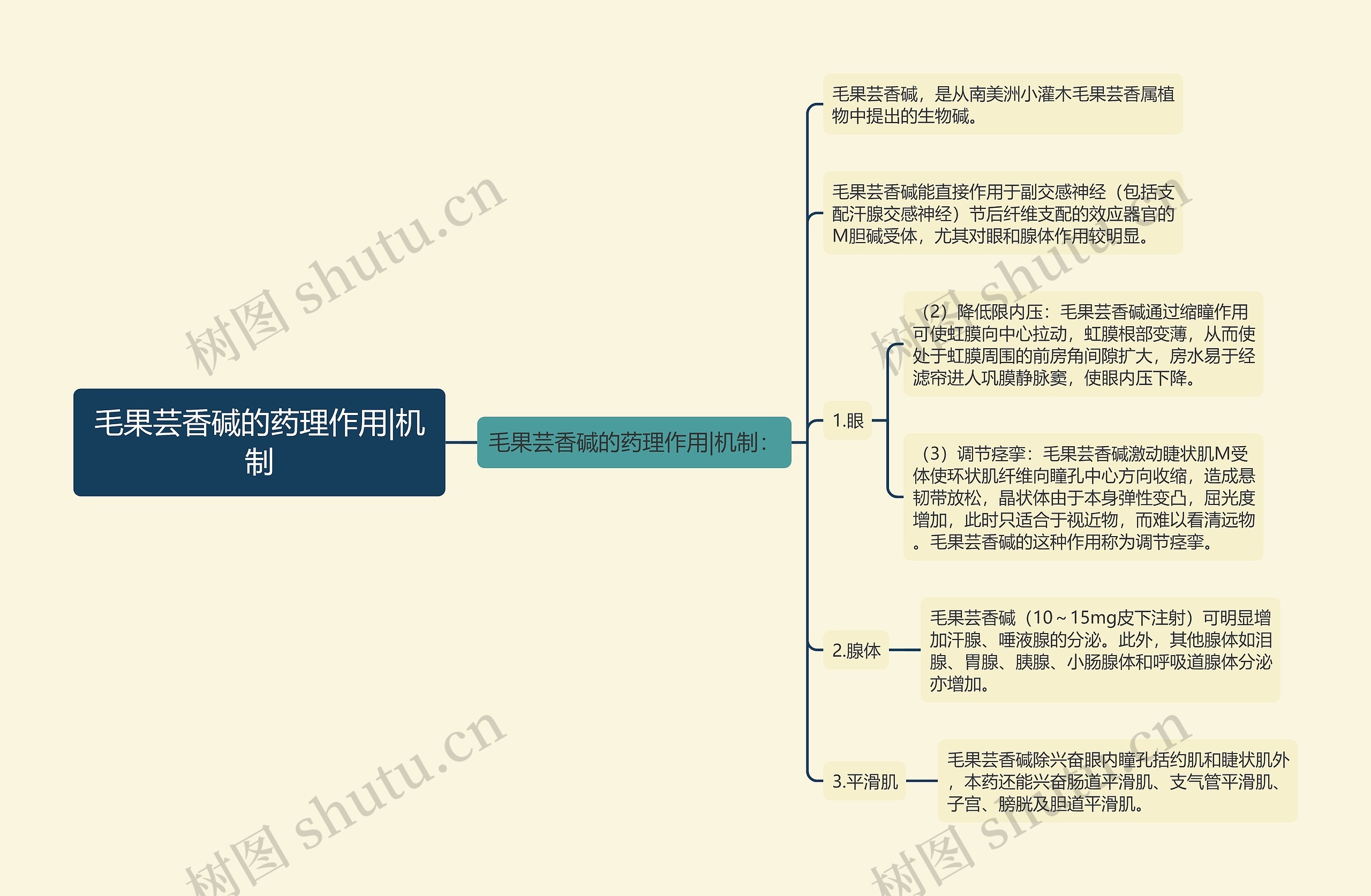 毛果芸香碱的药理作用|机制思维导图