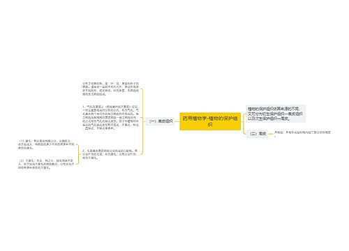 药用植物学-植物的保护组织