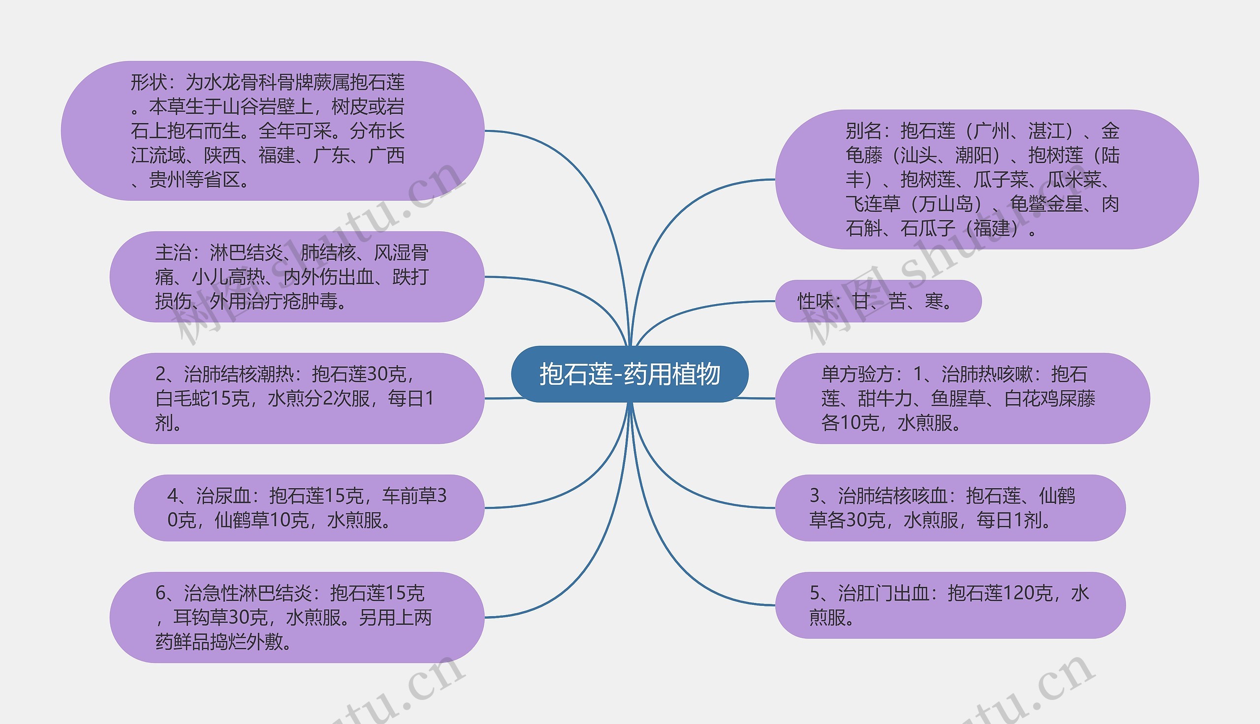 抱石莲-药用植物思维导图