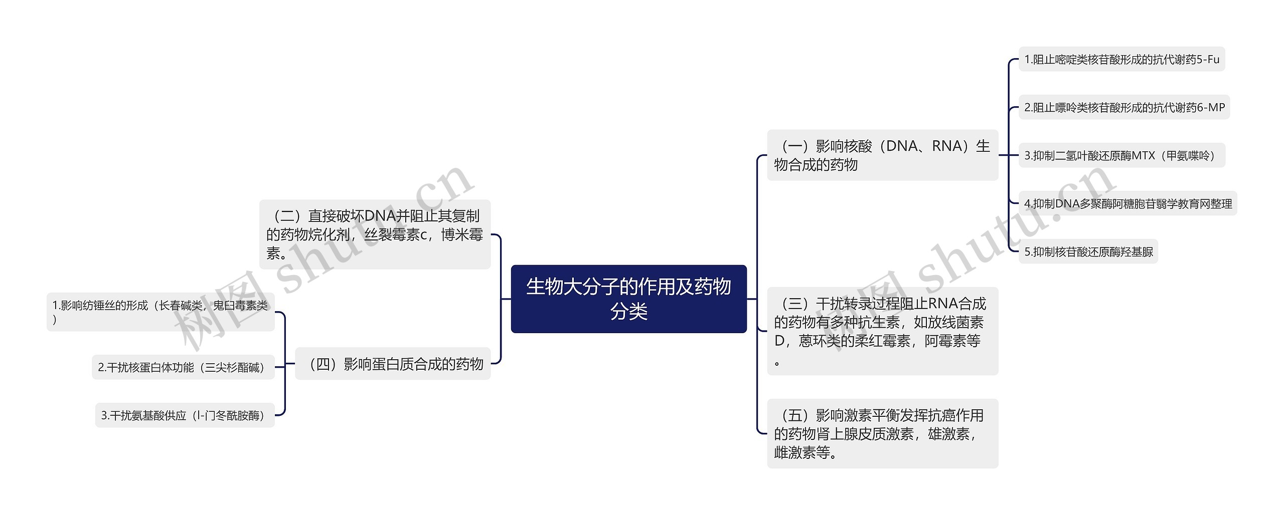 生物大分子的作用及药物分类思维导图