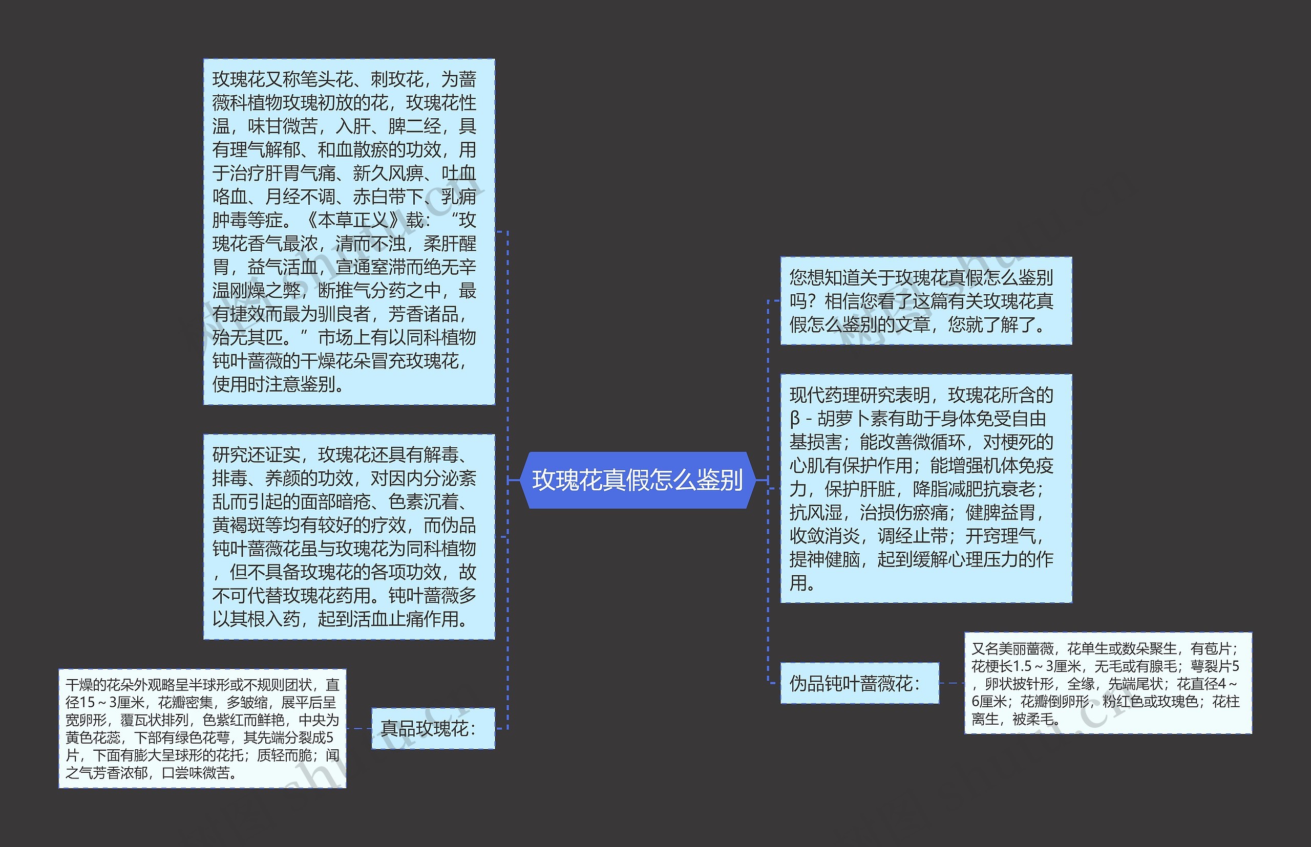 玫瑰花真假怎么鉴别思维导图